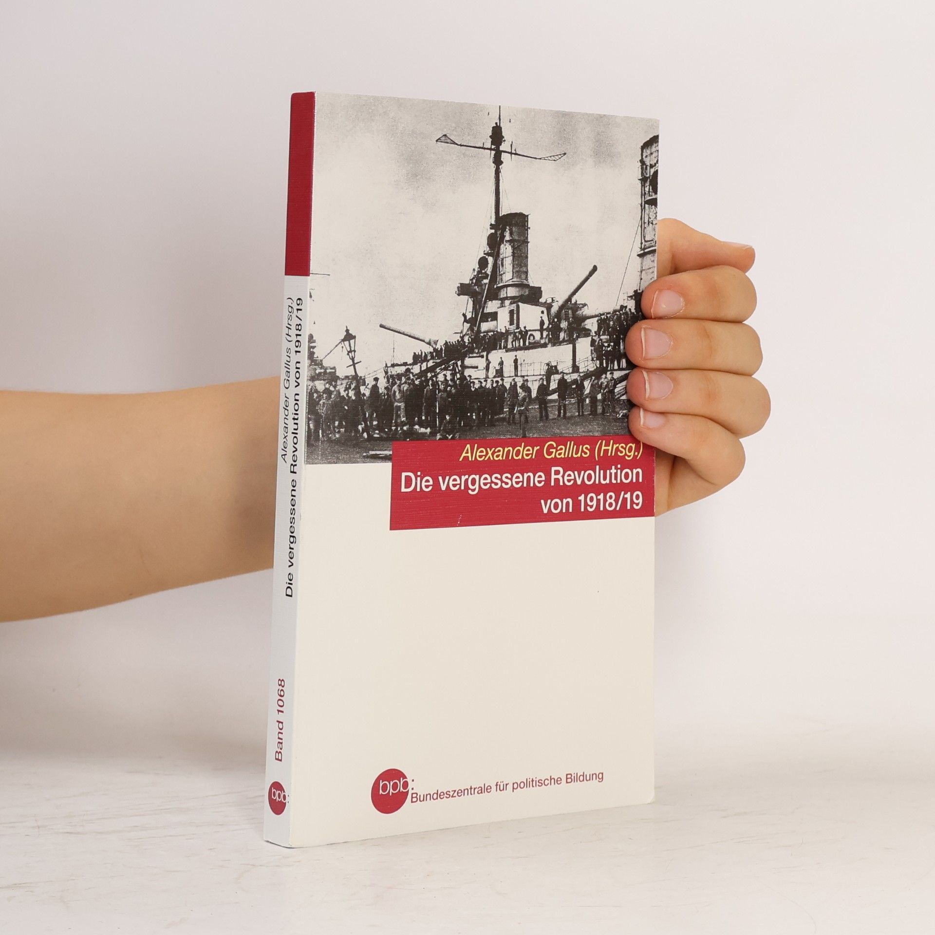 Alexander Gallus Die vergessene Revolution von 1918/19