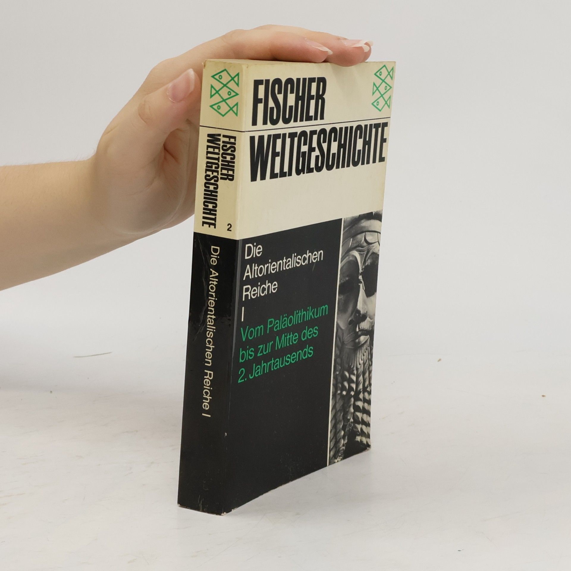 Fischer Weltgeschichte 7. Der Aufbau des Römischen Reiches: Die Mittelmeerwelt im Altertum III