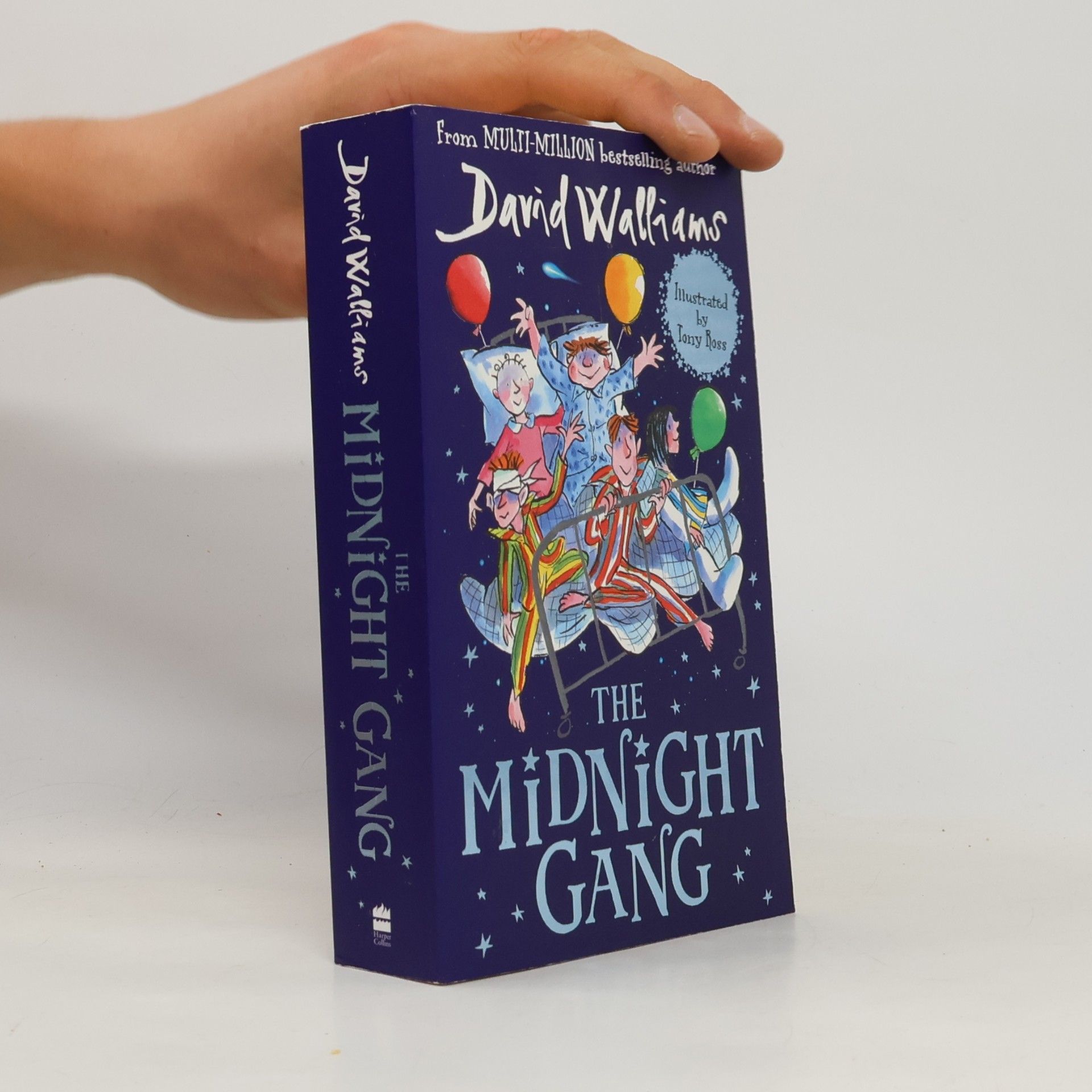David Walliams The Midnight Gang