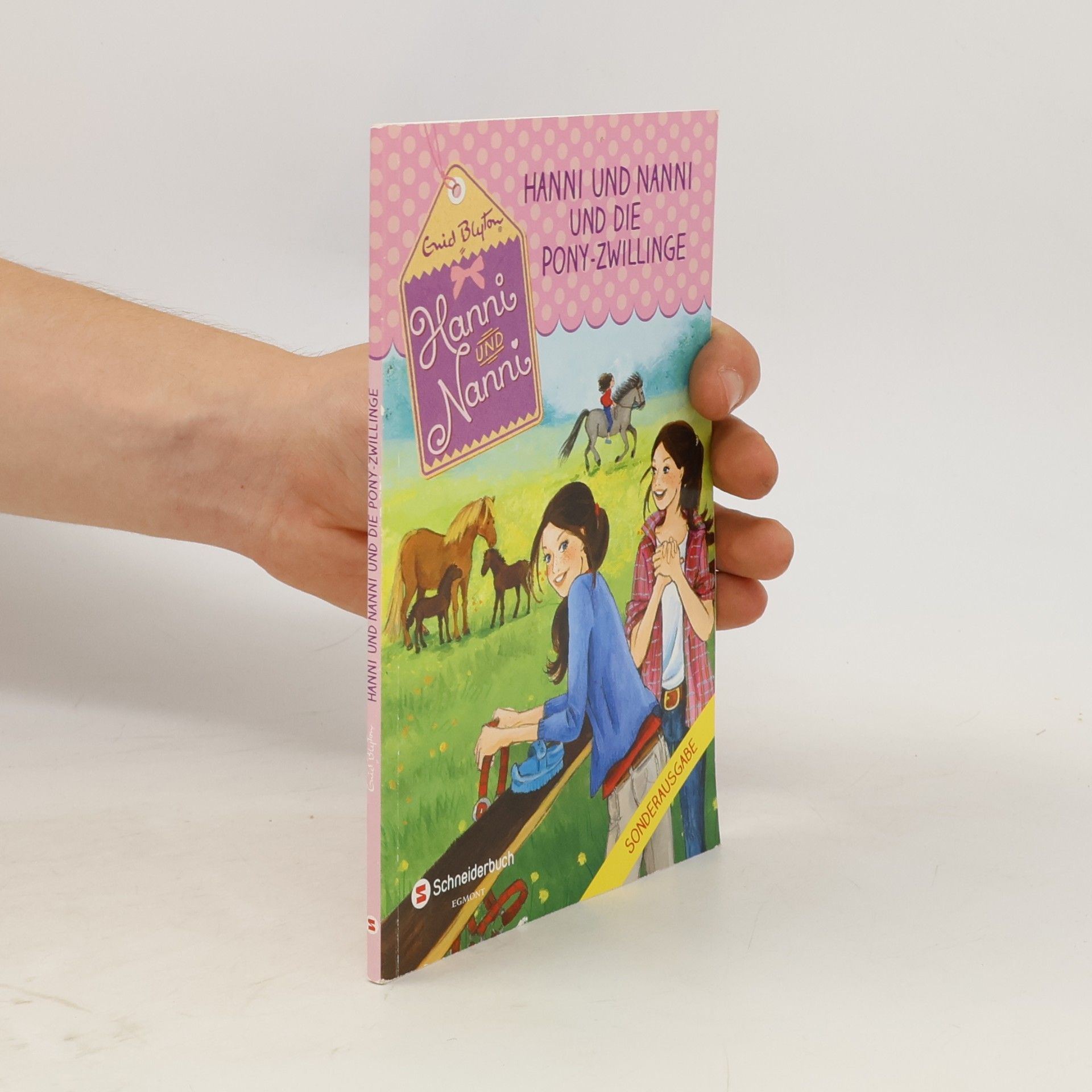 Enid Blyton Hanni und Nanni und die Pony-Zwillinge