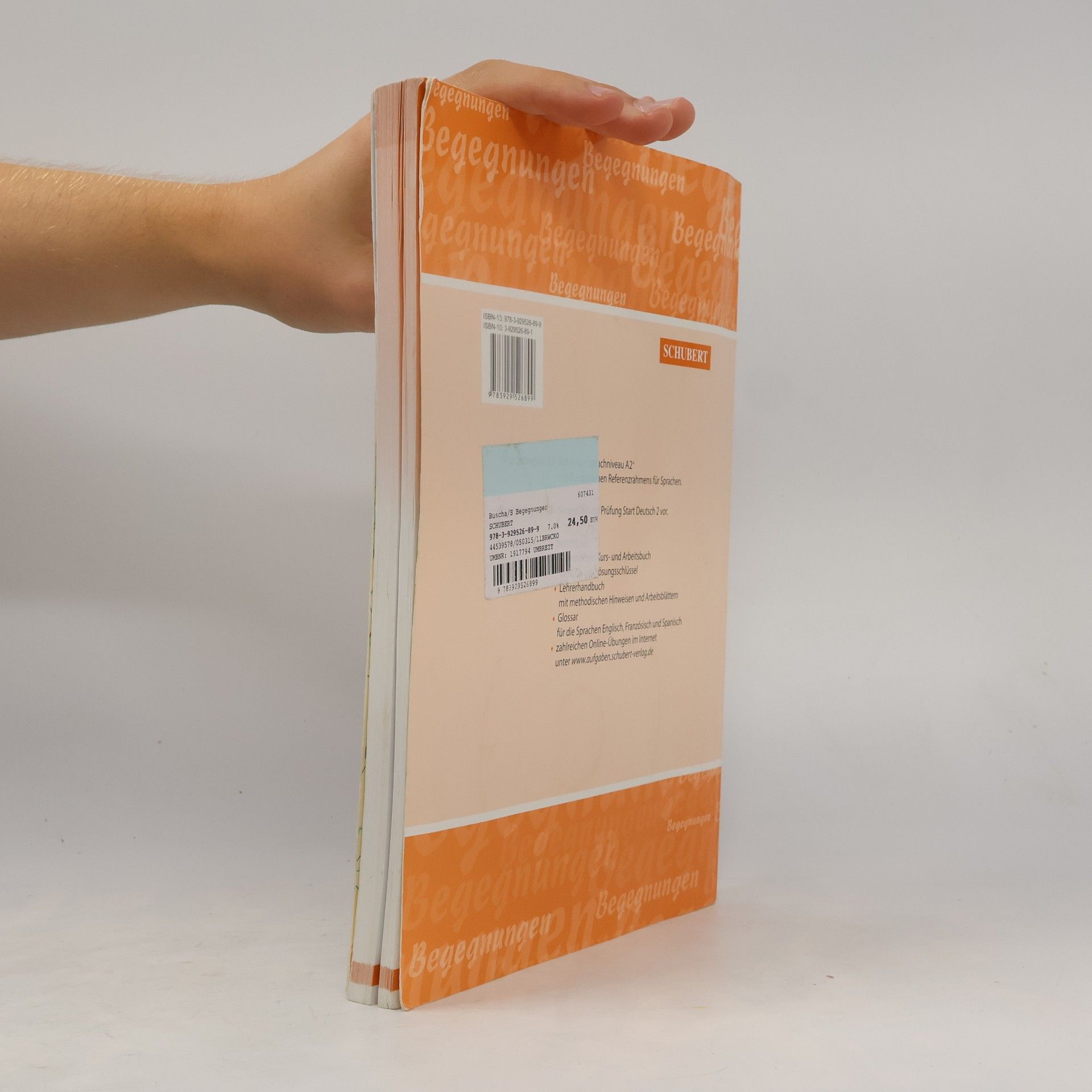 Anne Buscha Begegnungen. Sprachniveau A2+, Integriertes Kurs- und Arbeitsbuch