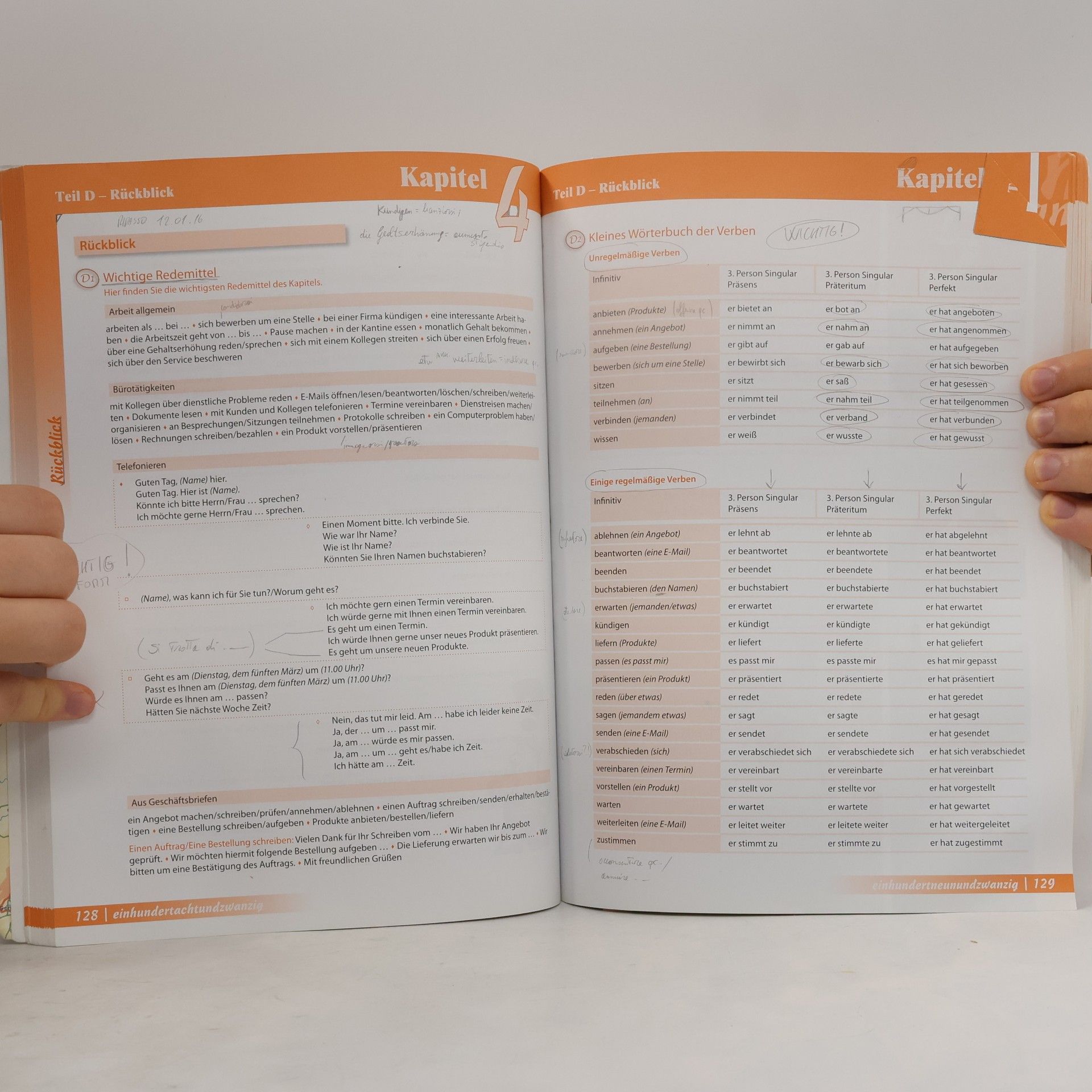 Anne Buscha Begegnungen. Sprachniveau A2+, Integriertes Kurs- und Arbeitsbuch