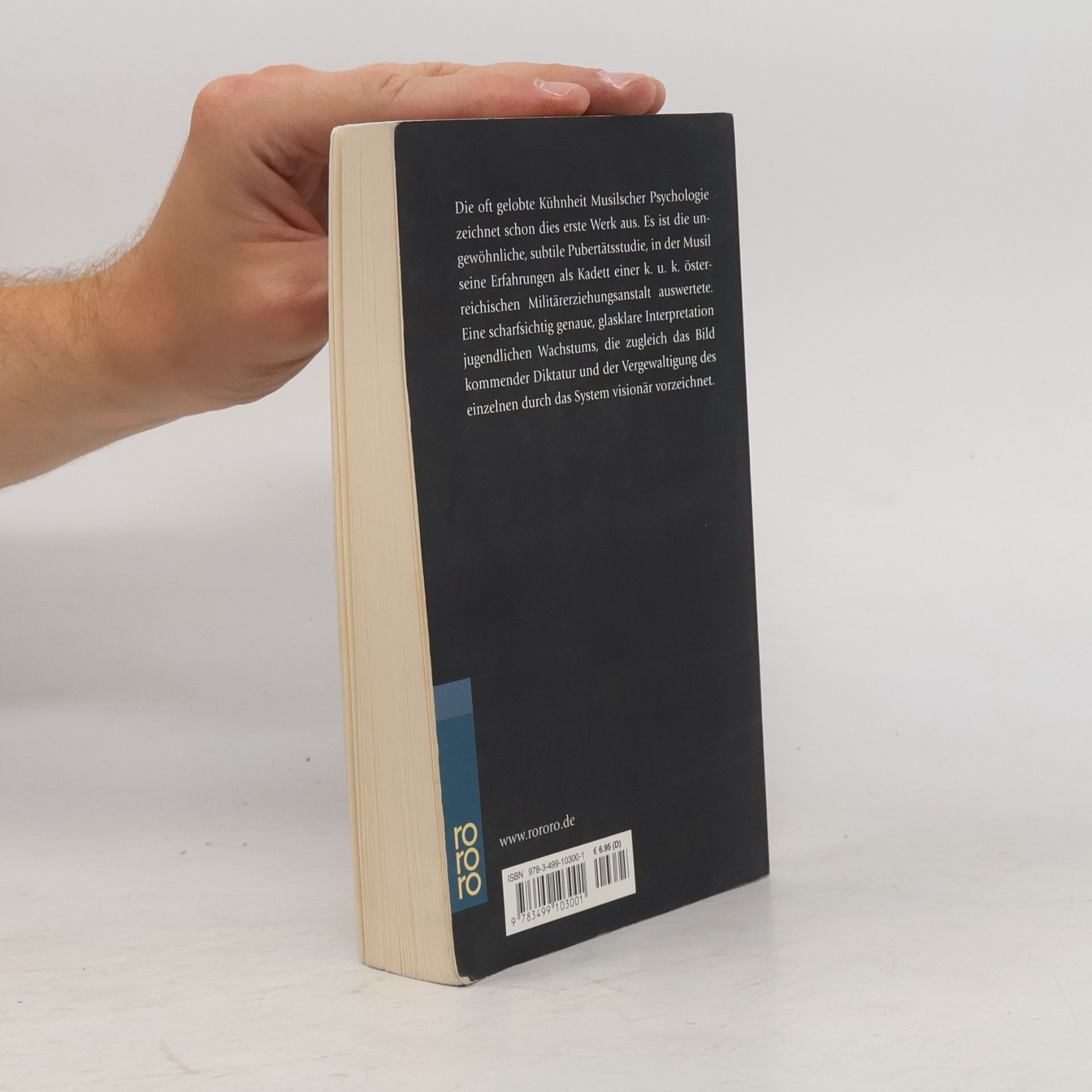 Robert Musil Die Verwirrungen des Zöglings Törleß