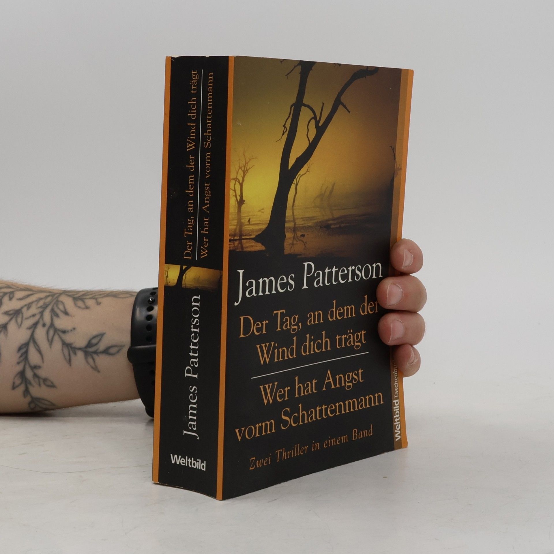 James Patterson Der Tag, an dem der Wind dich trägt