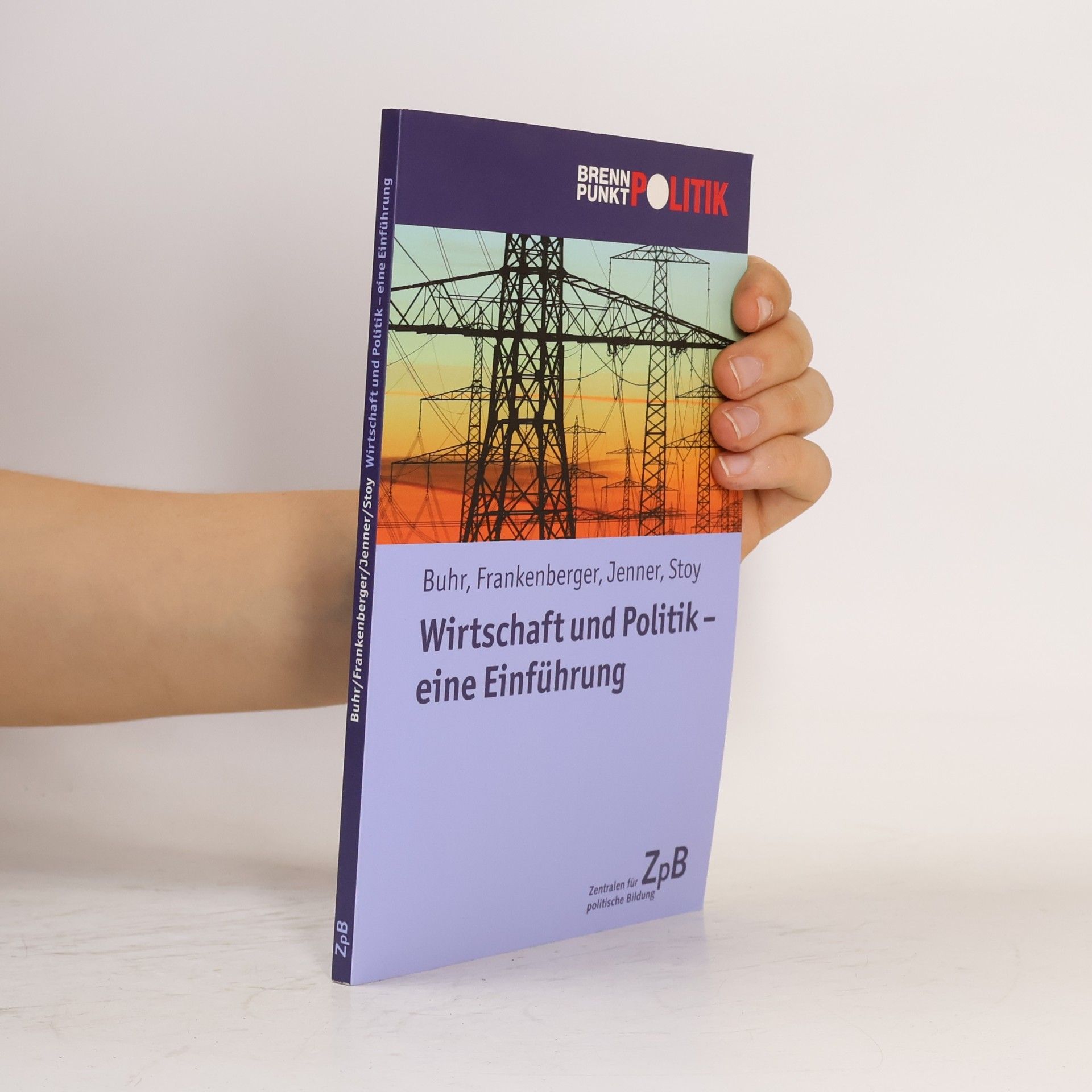 Volquart Stoy Wirtschaft und Politik – eine Einführung