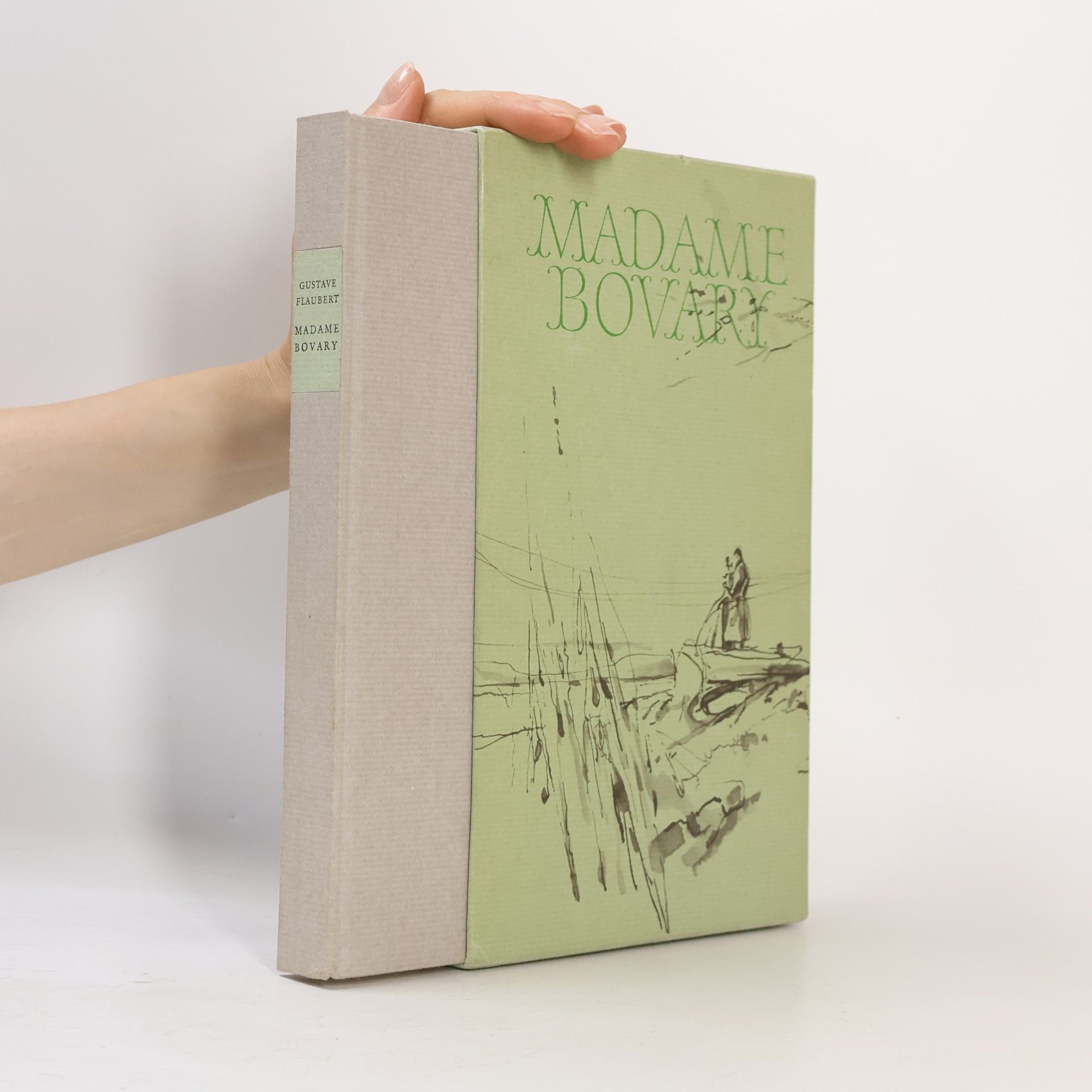 Gustave Flaubert Madame Bovary