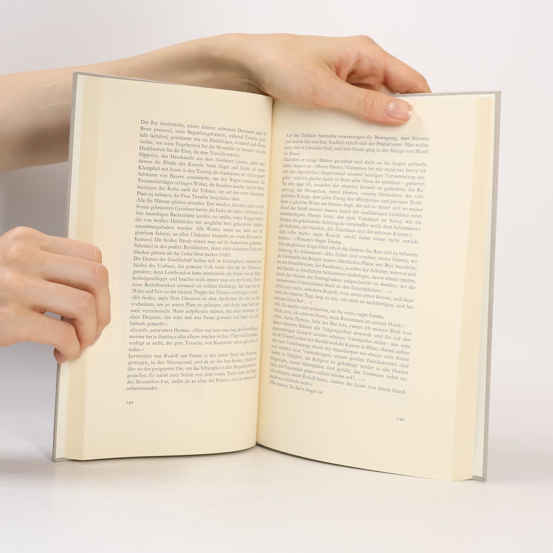 Gustave Flaubert Madame Bovary