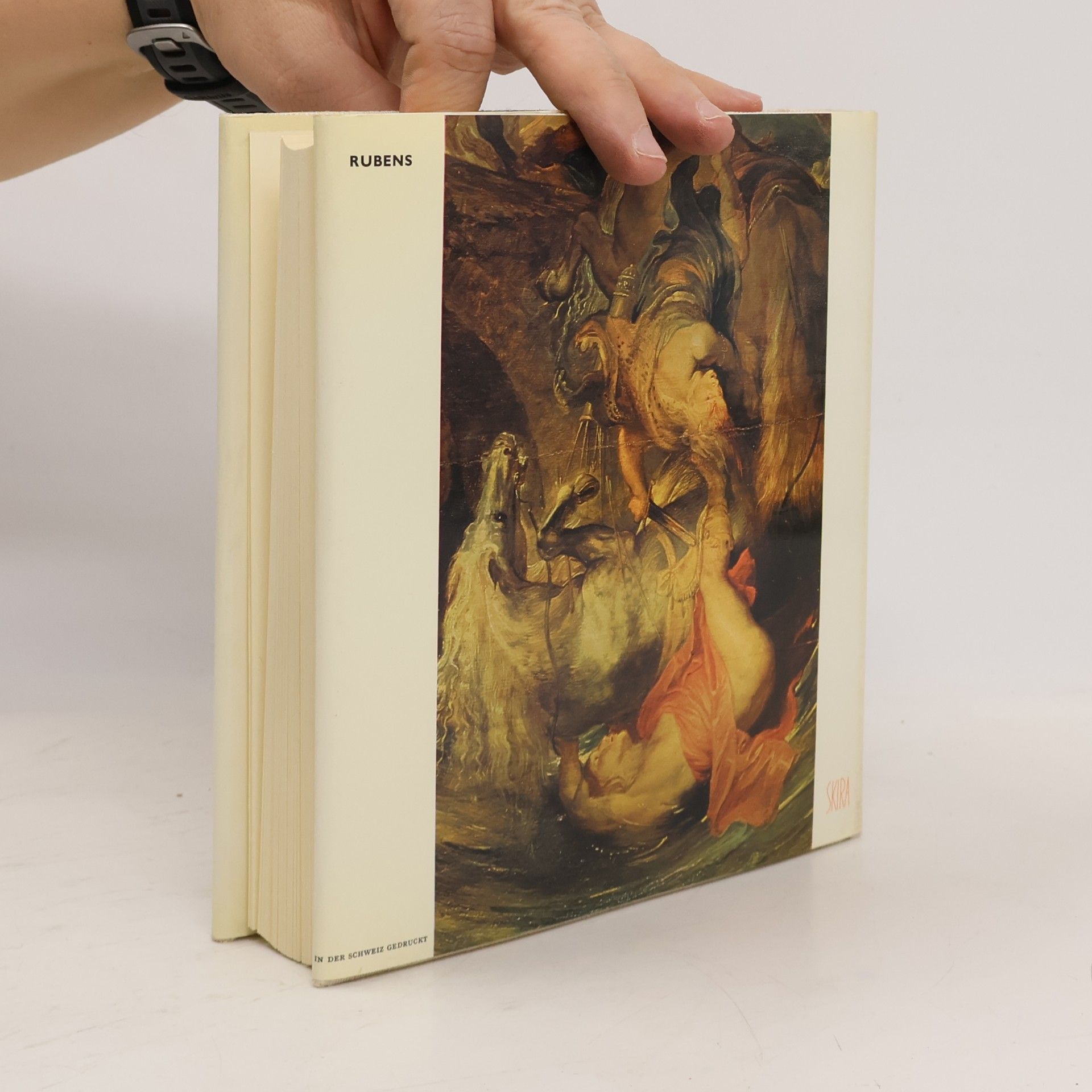 Auteurscollectief Der Geschmack unserer Zeit. Rubens