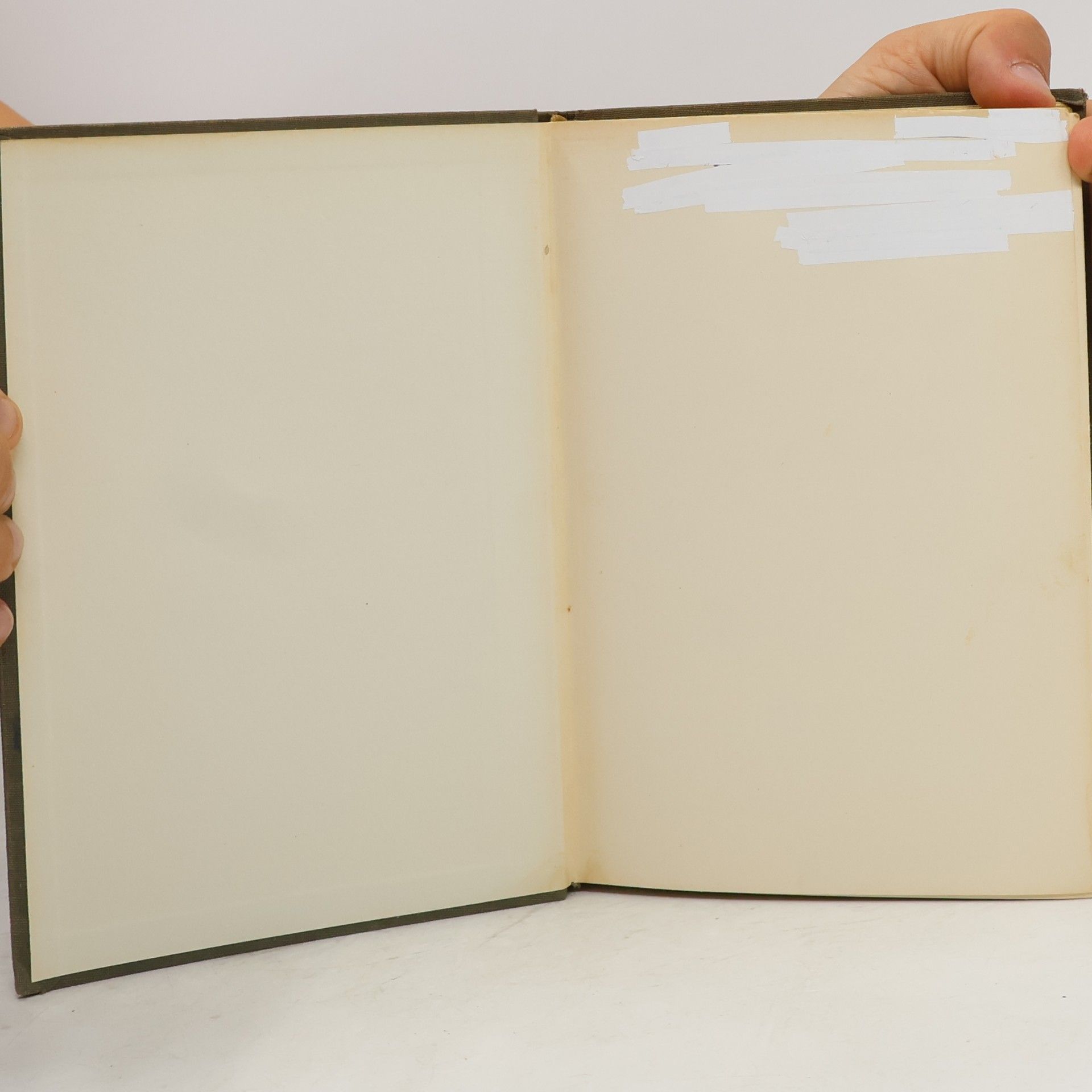 Walter Alvares Keller Der weisse Mantelsaum