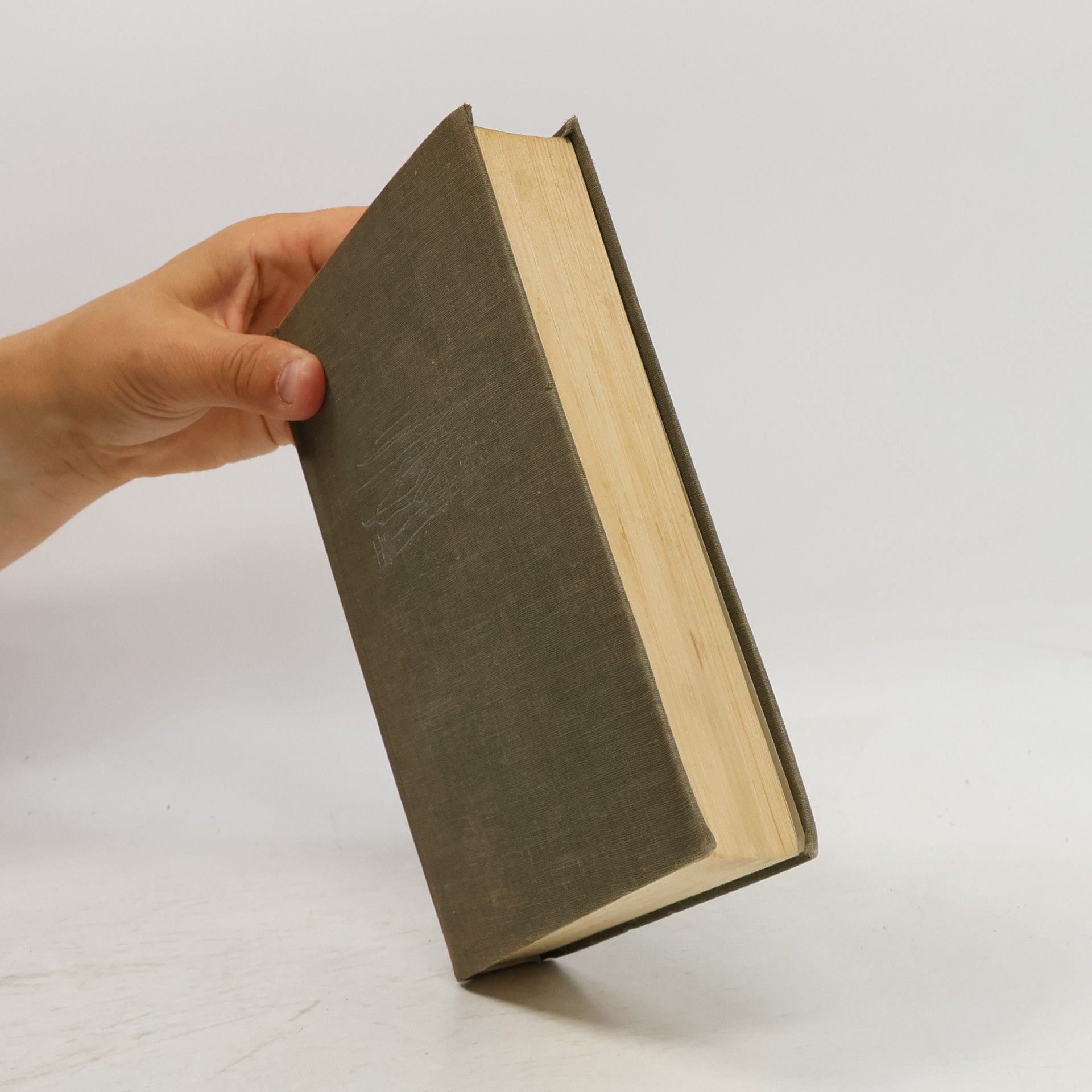 Walter Alvares Keller Der weisse Mantelsaum