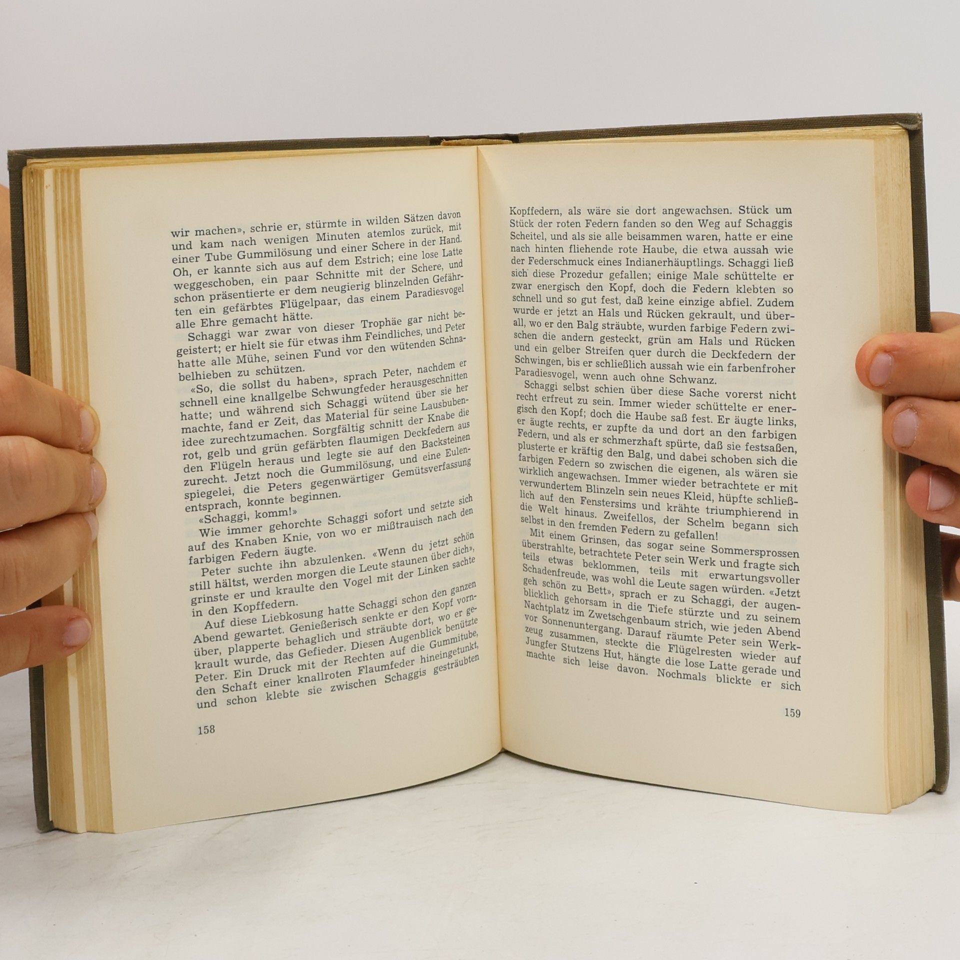 Walter Alvares Keller Der weisse Mantelsaum