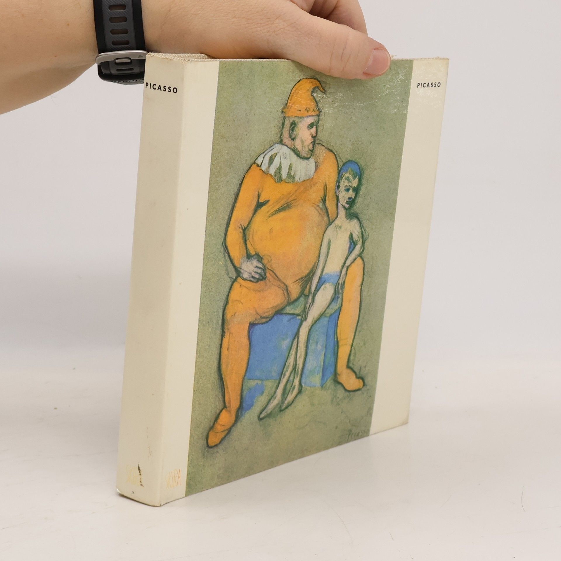 Autorenkollektiv Picasso
