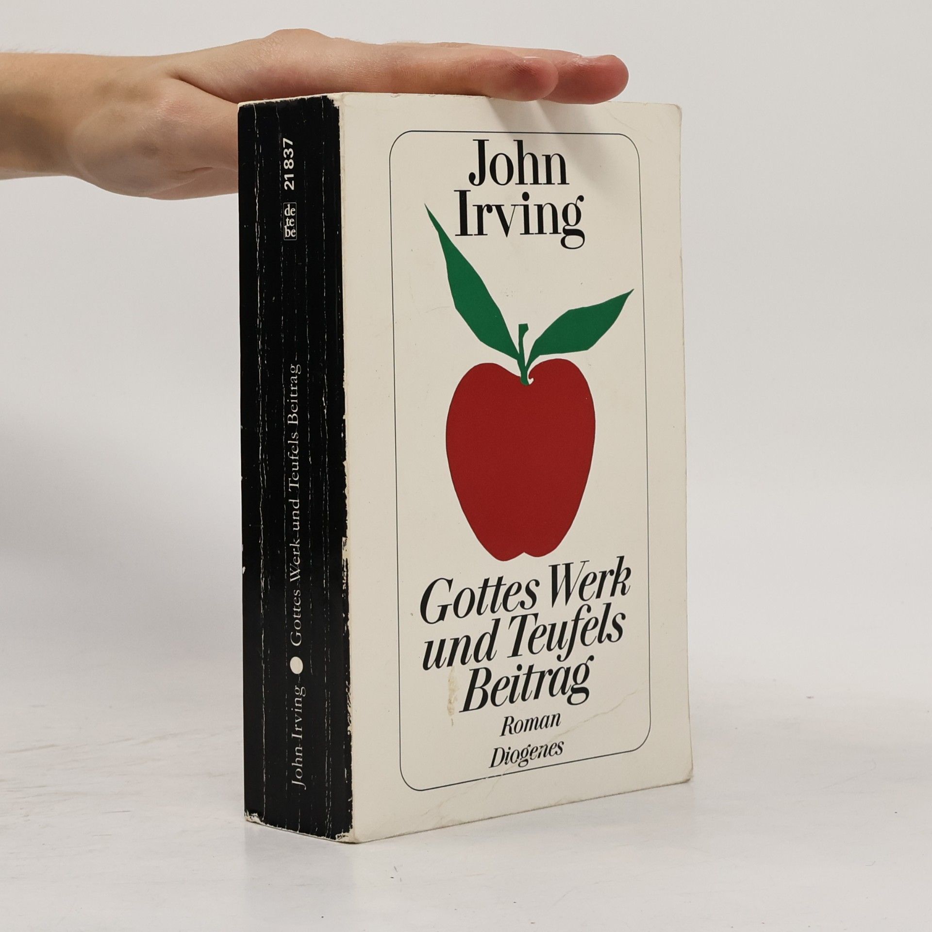 John Irving Gottes Werk und Teufels Beitrag