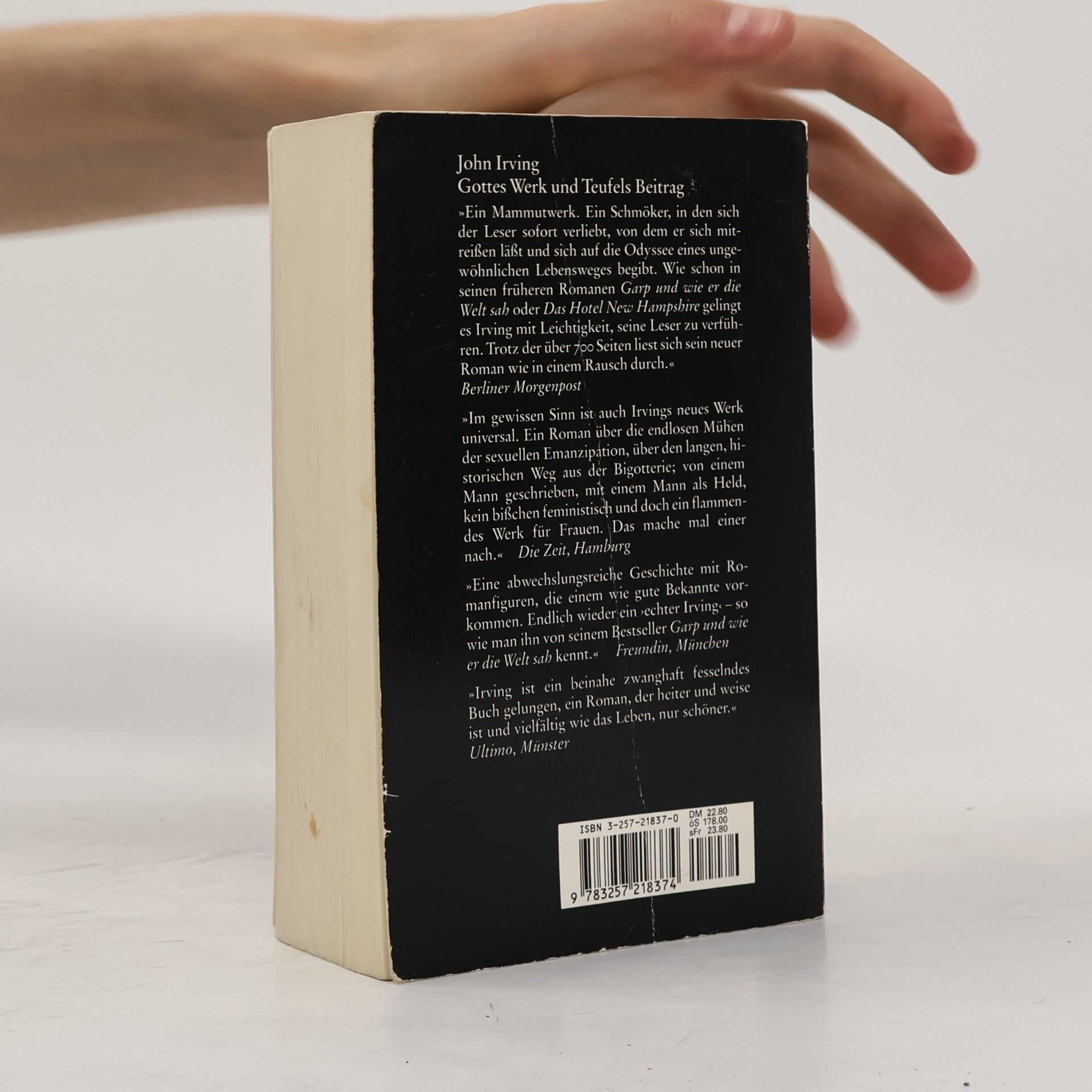 John Irving Gottes Werk und Teufels Beitrag