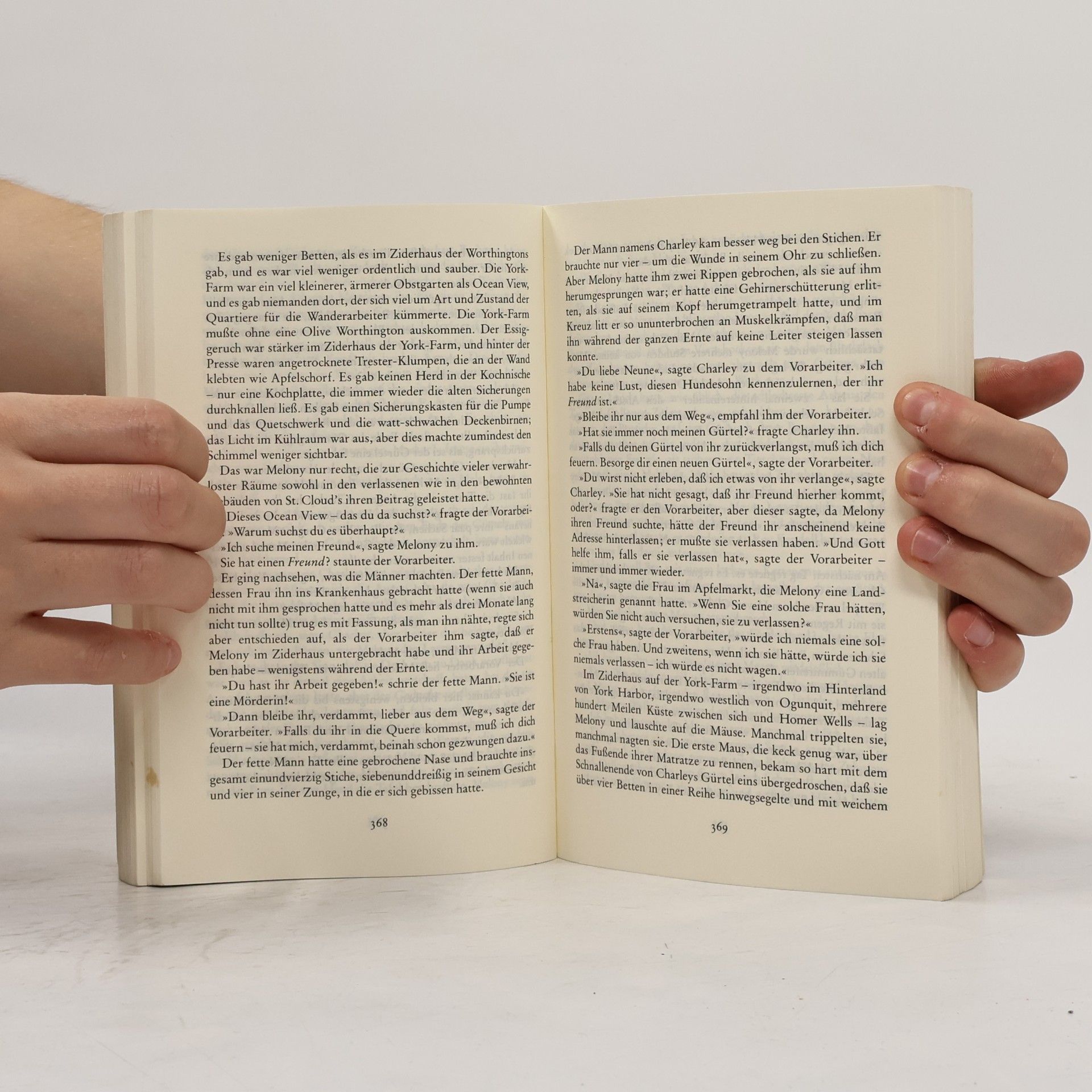 John Irving Gottes Werk und Teufels Beitrag