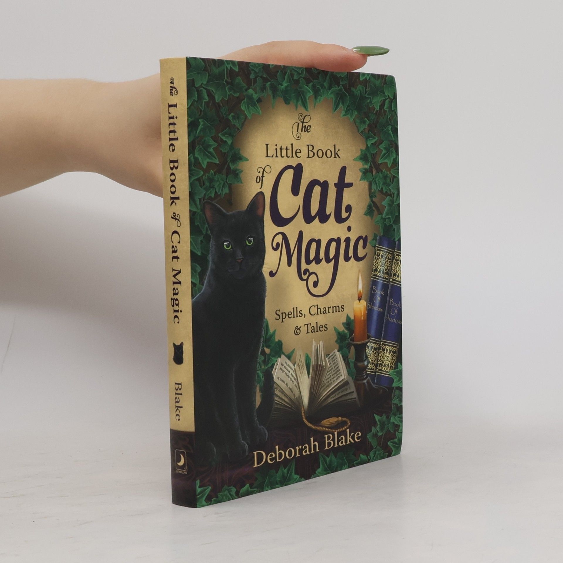 Deborah Blake The Little Book of Cat Magic: Spells, Charms & Tales