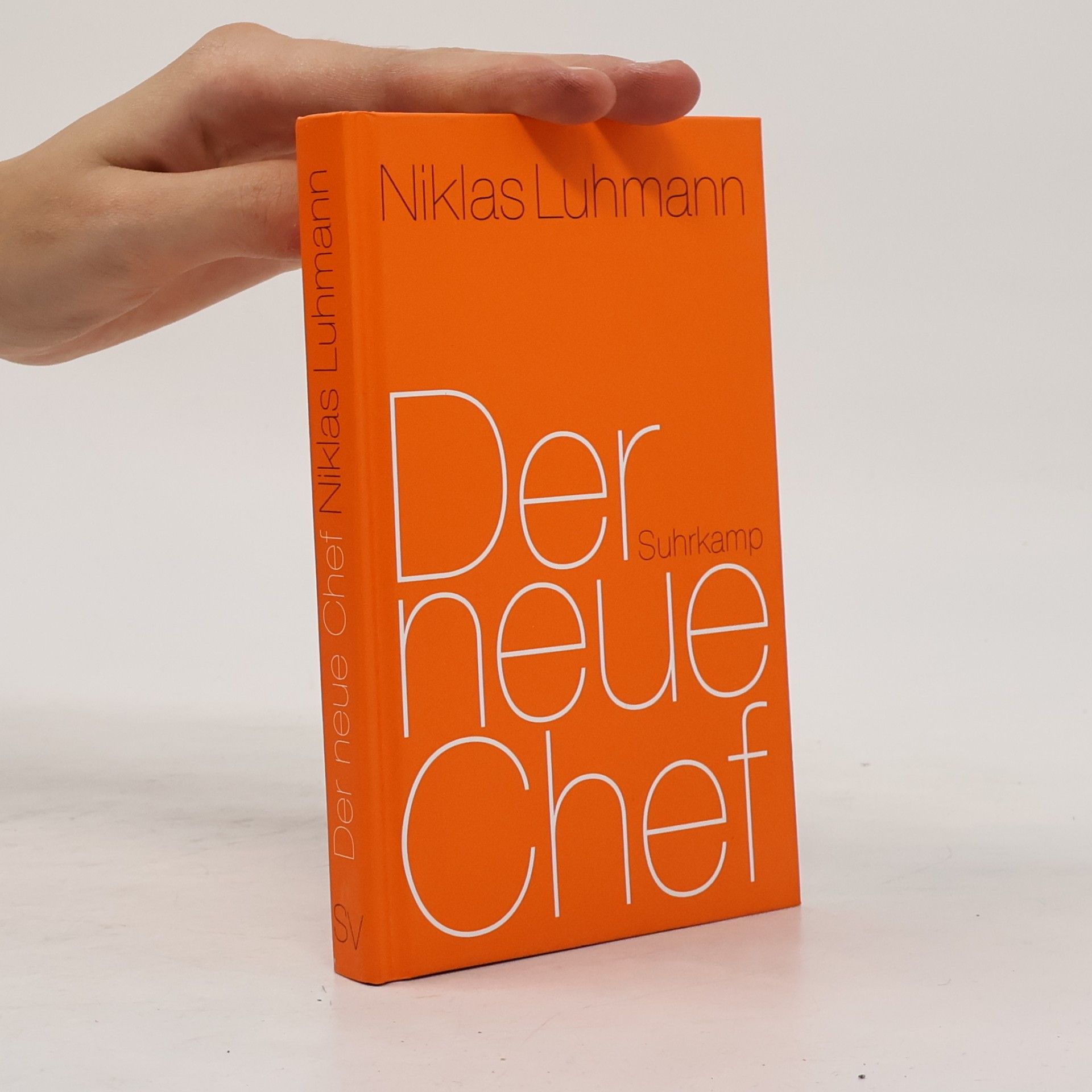 Niklas Luhmann Der neue Chef