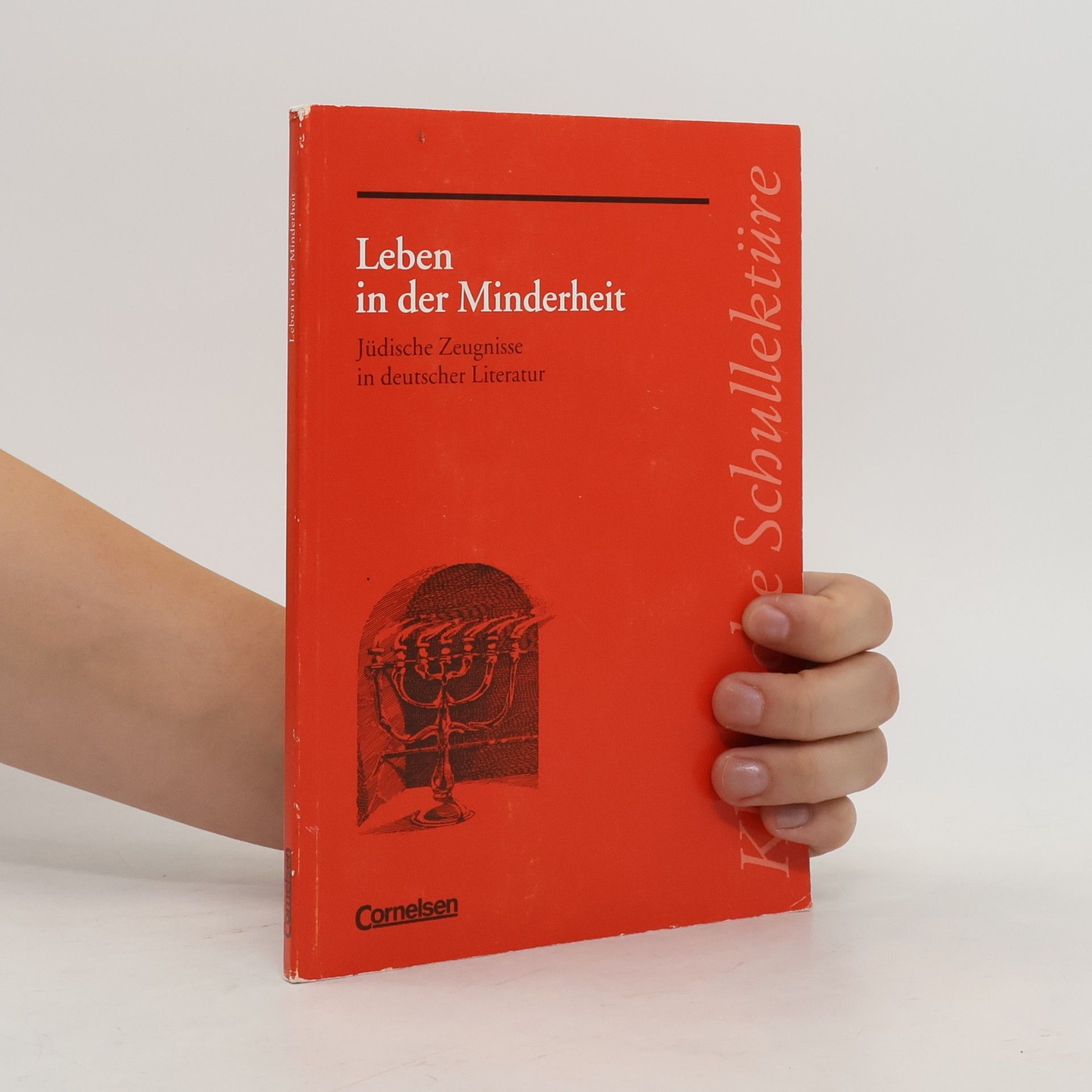 Franz Hebel Klassische Schullektüre: Leben in der Minderheit