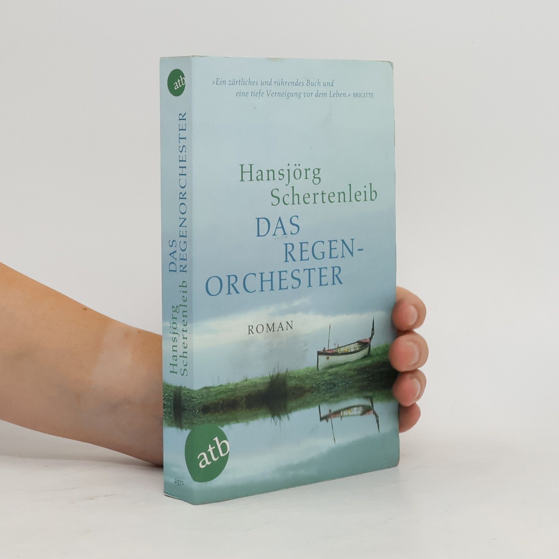 Hansjörg Schertenleib Das Regenorchester
