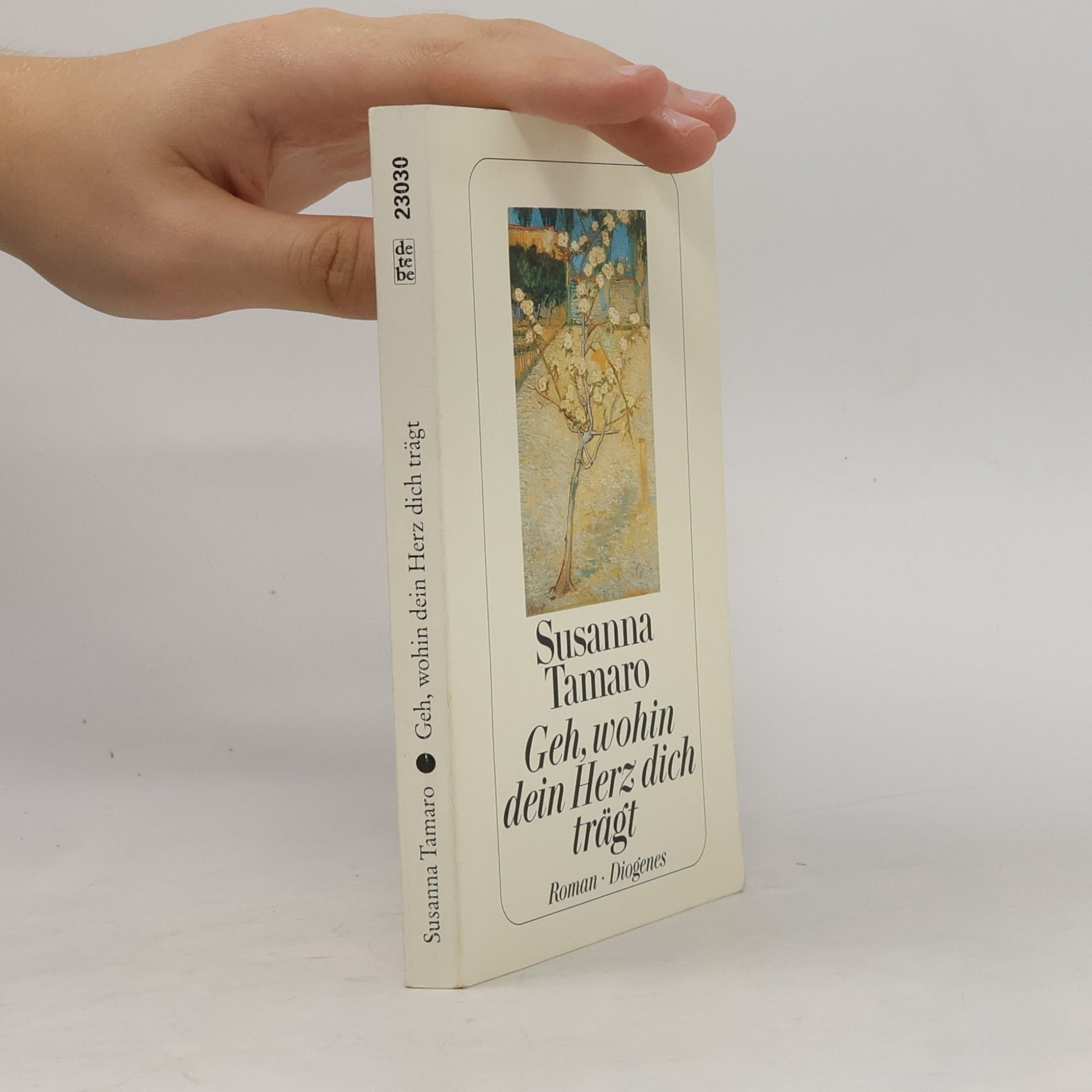 Susanna Tamaro Geh, wohin dein Herz dich trägt