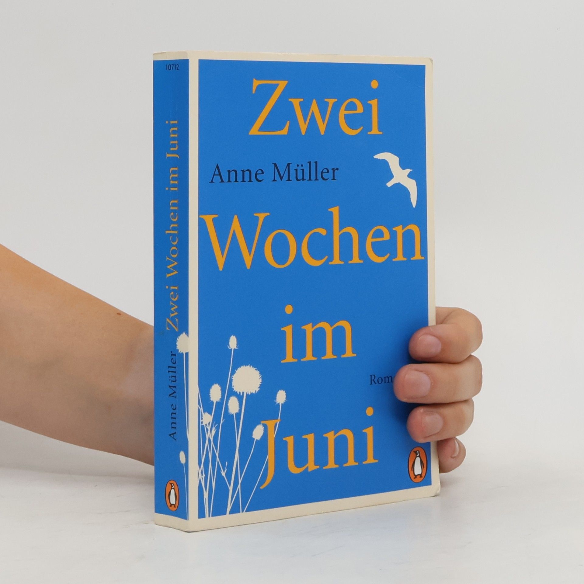 Anne Müller Zwei Wochen im Juni