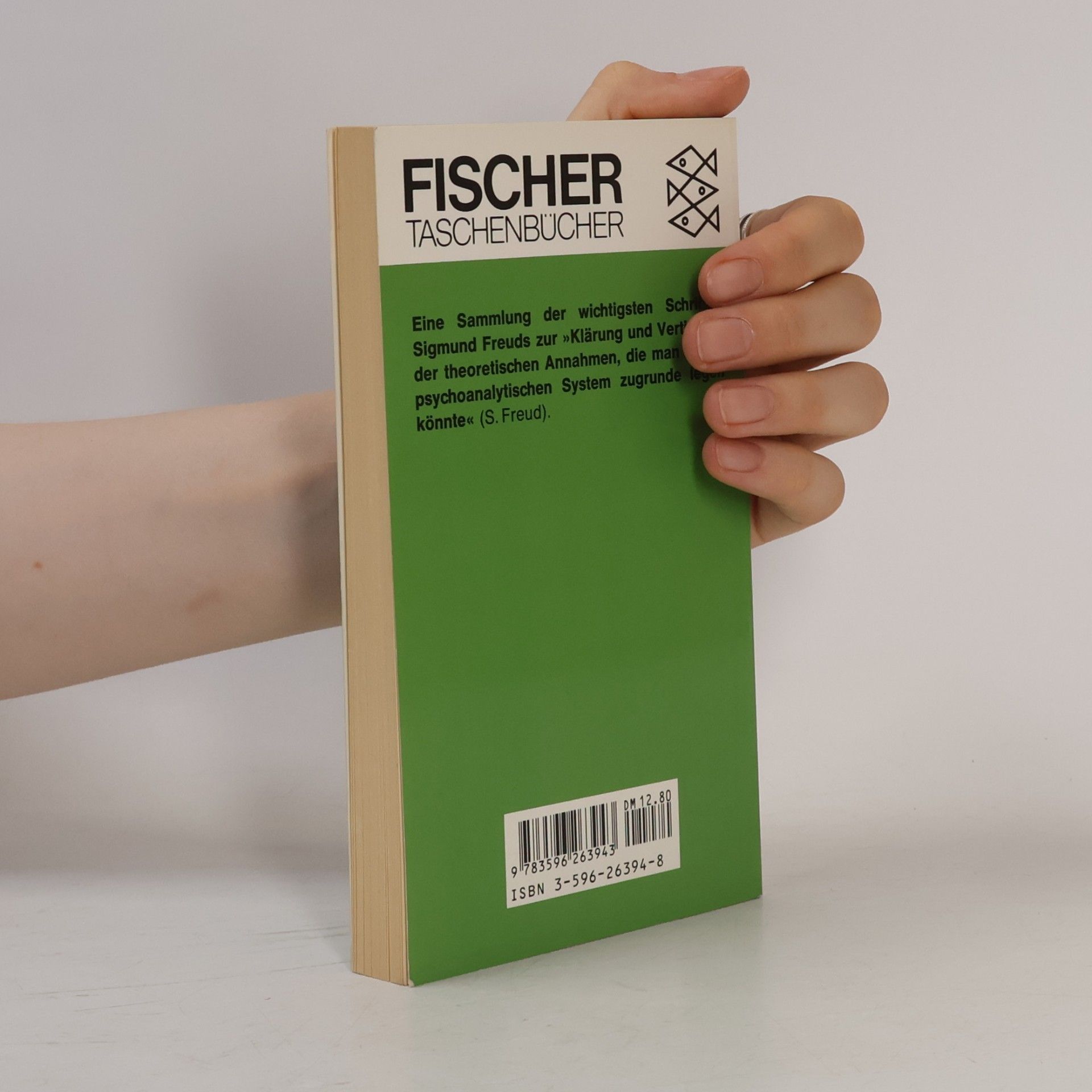 Sigmund Freud Das Ich und das Es und andere metapsychologische Schriften