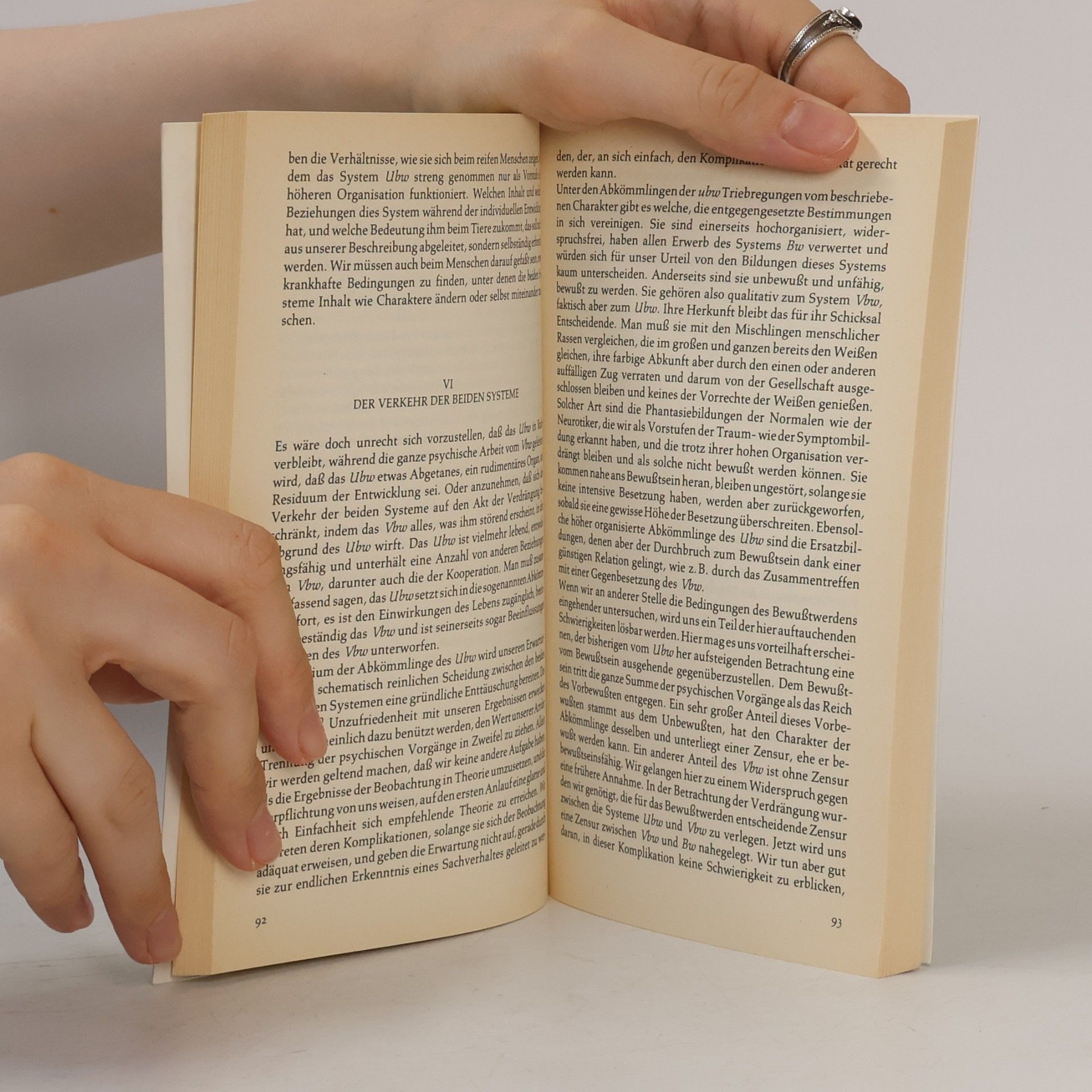 Sigmund Freud Das Ich und das Es und andere metapsychologische Schriften