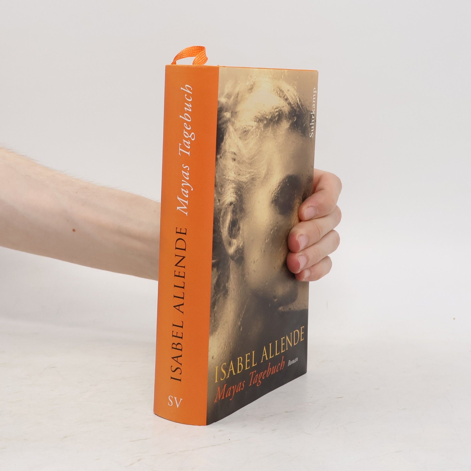 Isabel Allende Mayas Tagebuch. Roman