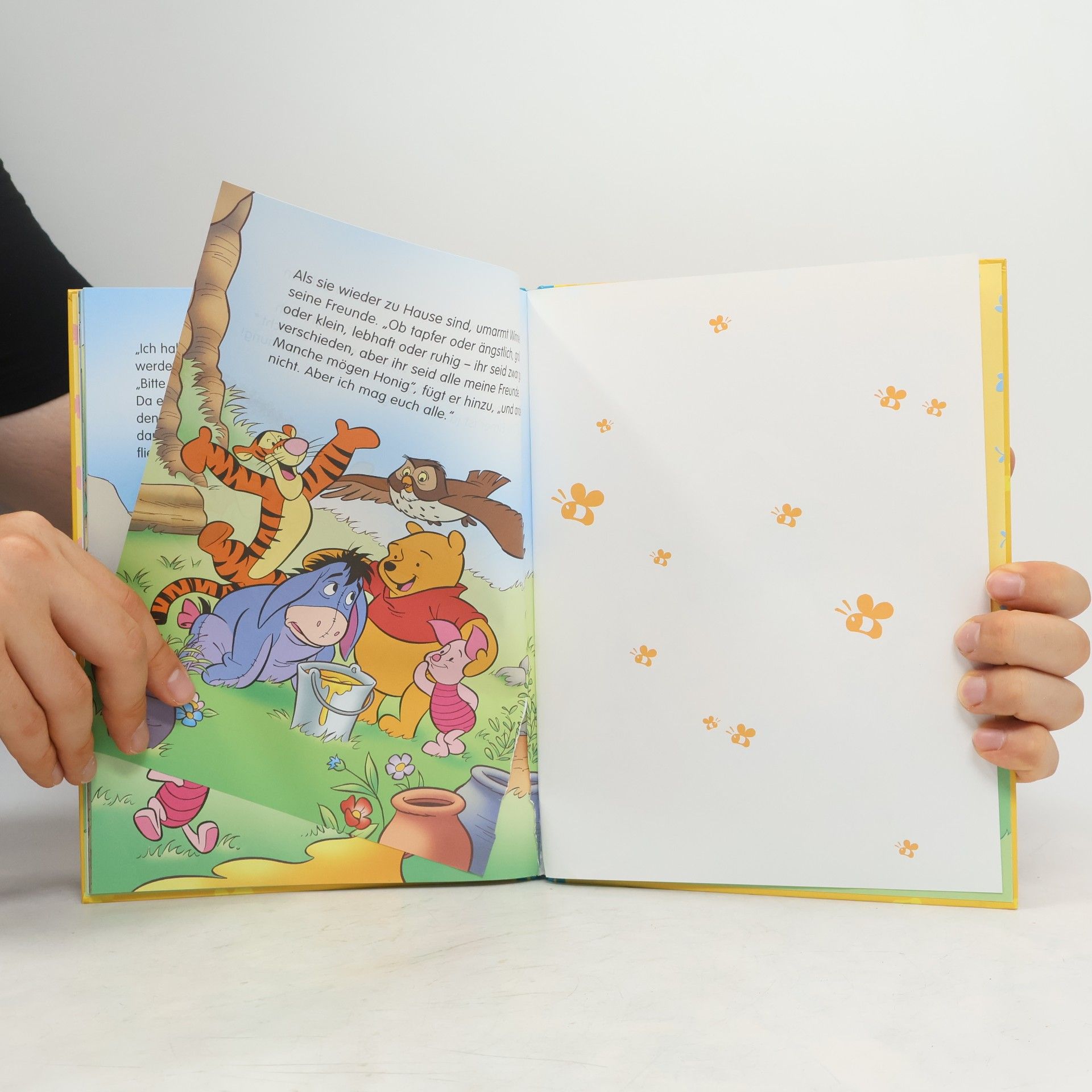 Collectif d'auteurs Winnie Puuh. Alle meine Freunde