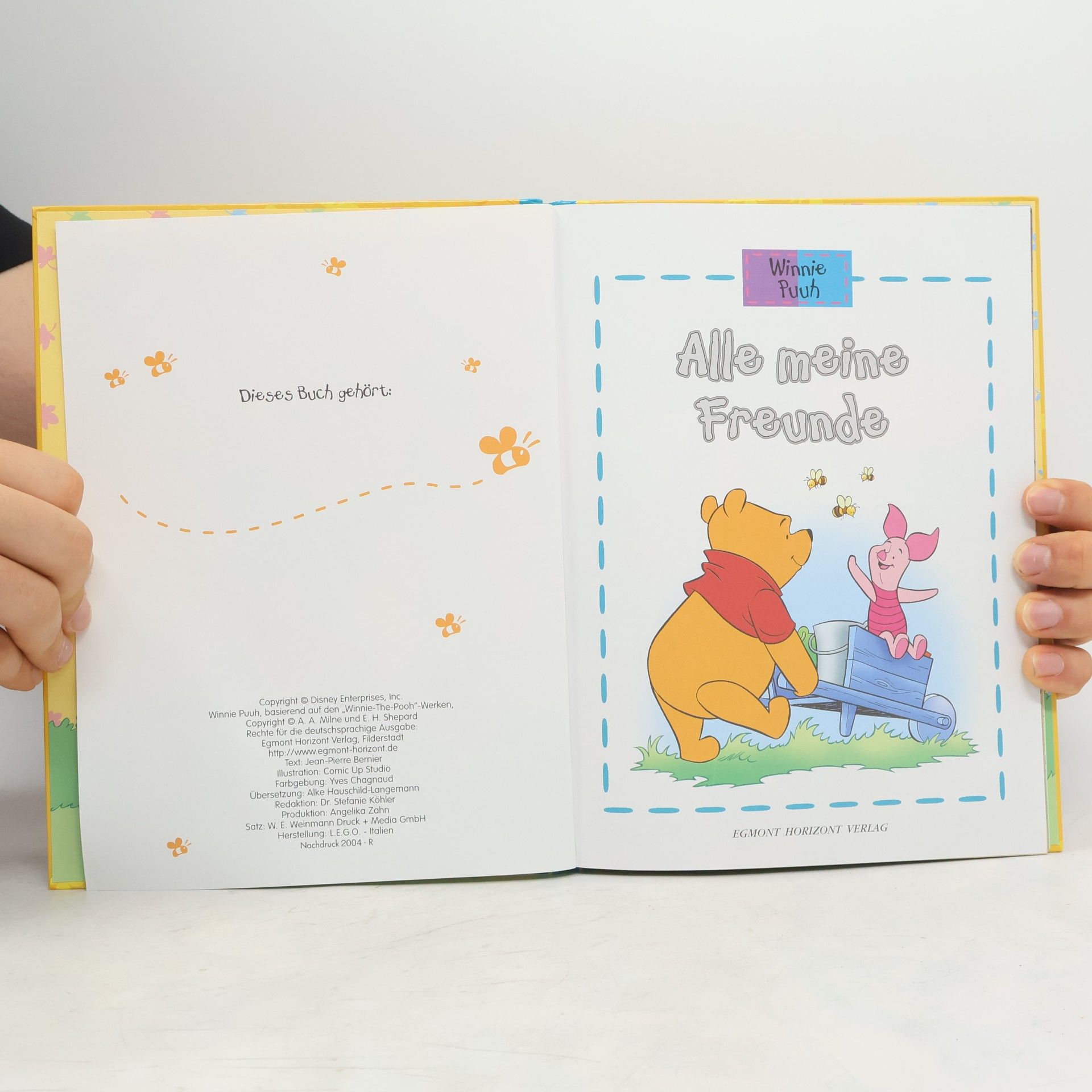 Collectif d'auteurs Winnie Puuh. Alle meine Freunde