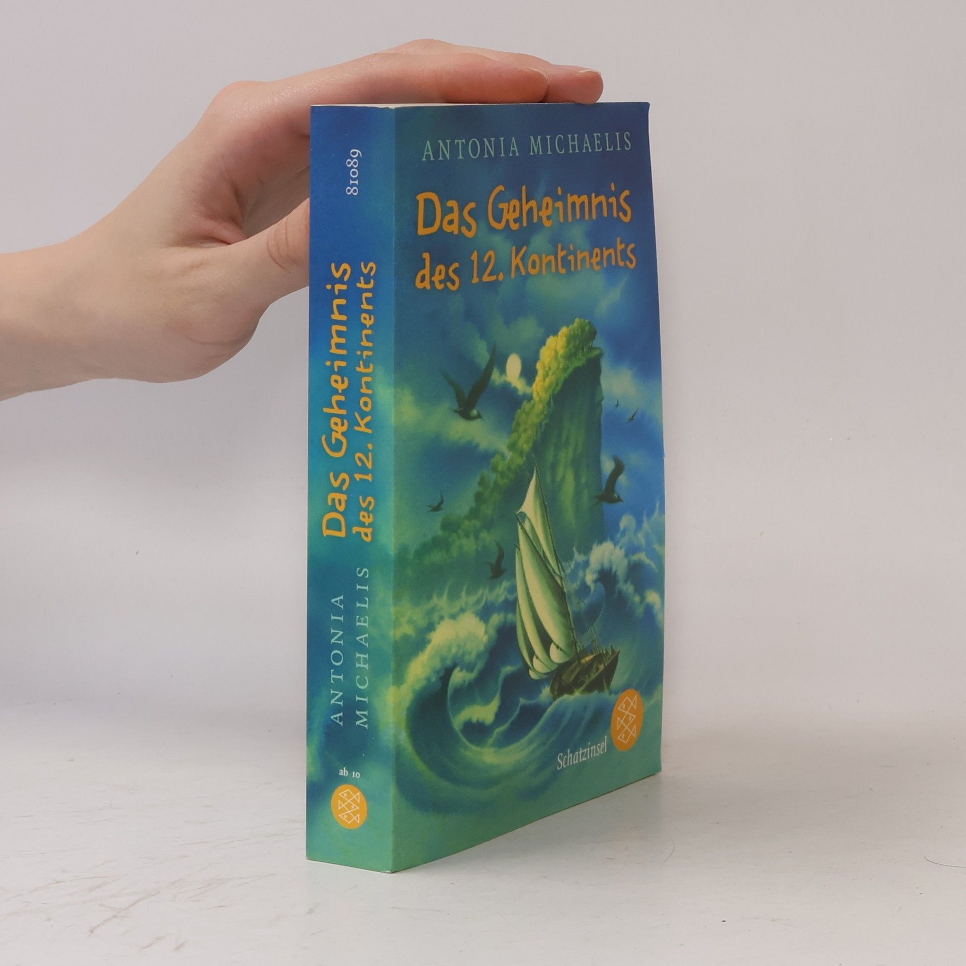 Antonia Michaelis Das Geheimnis des 12. Kontinents