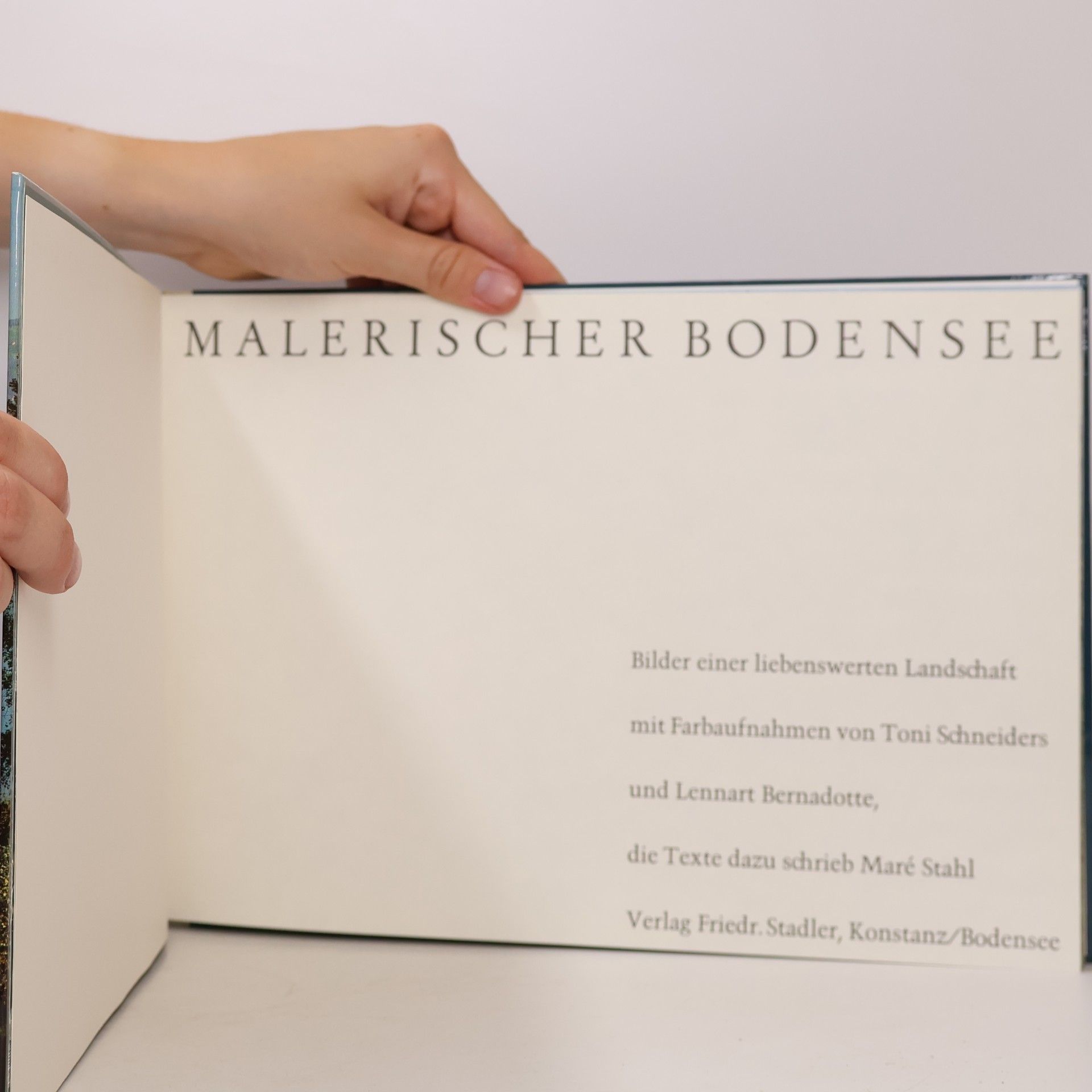 Autorenkollektiv Malerischer Bodensee