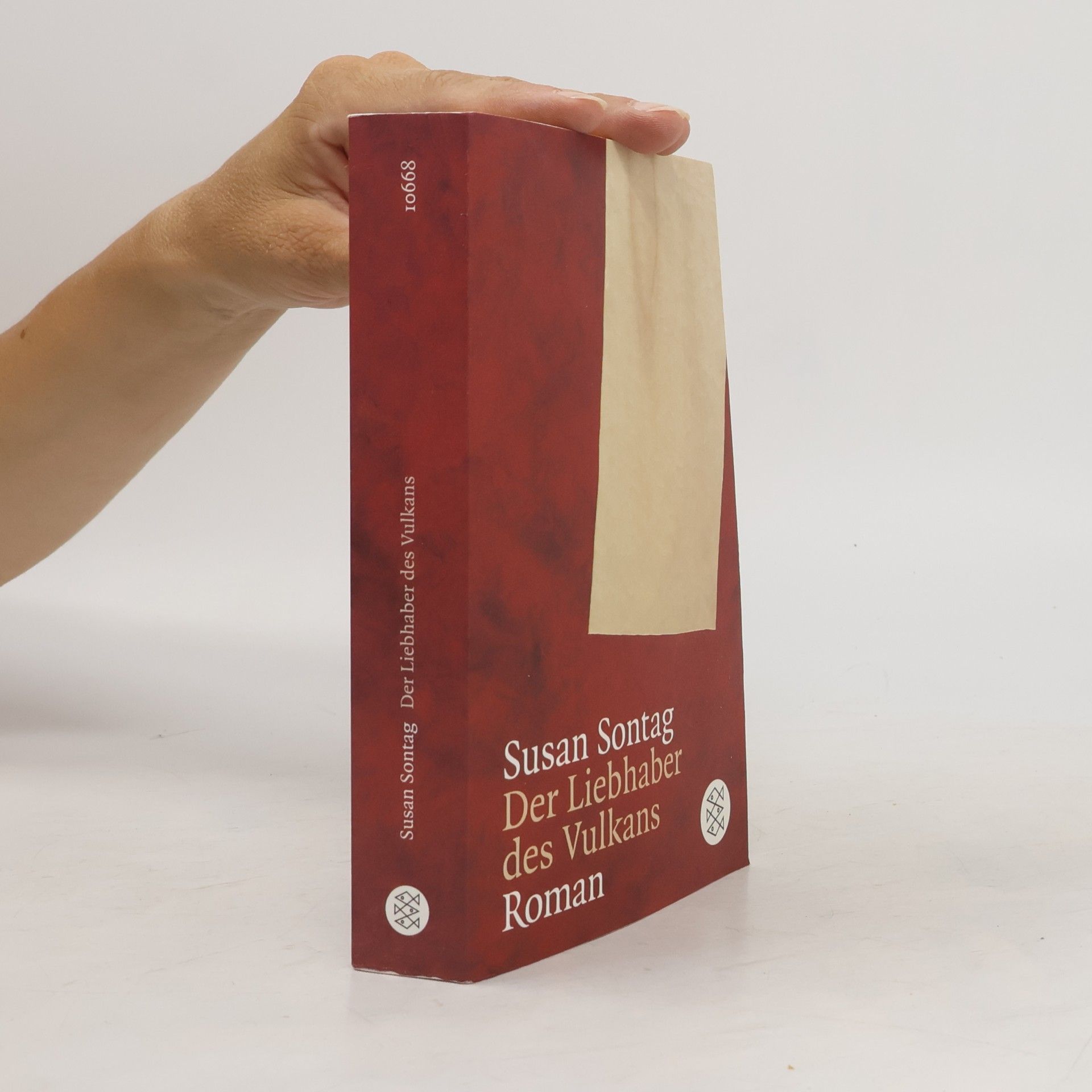Susan Sontag Der Liebhaber des Vulkans
