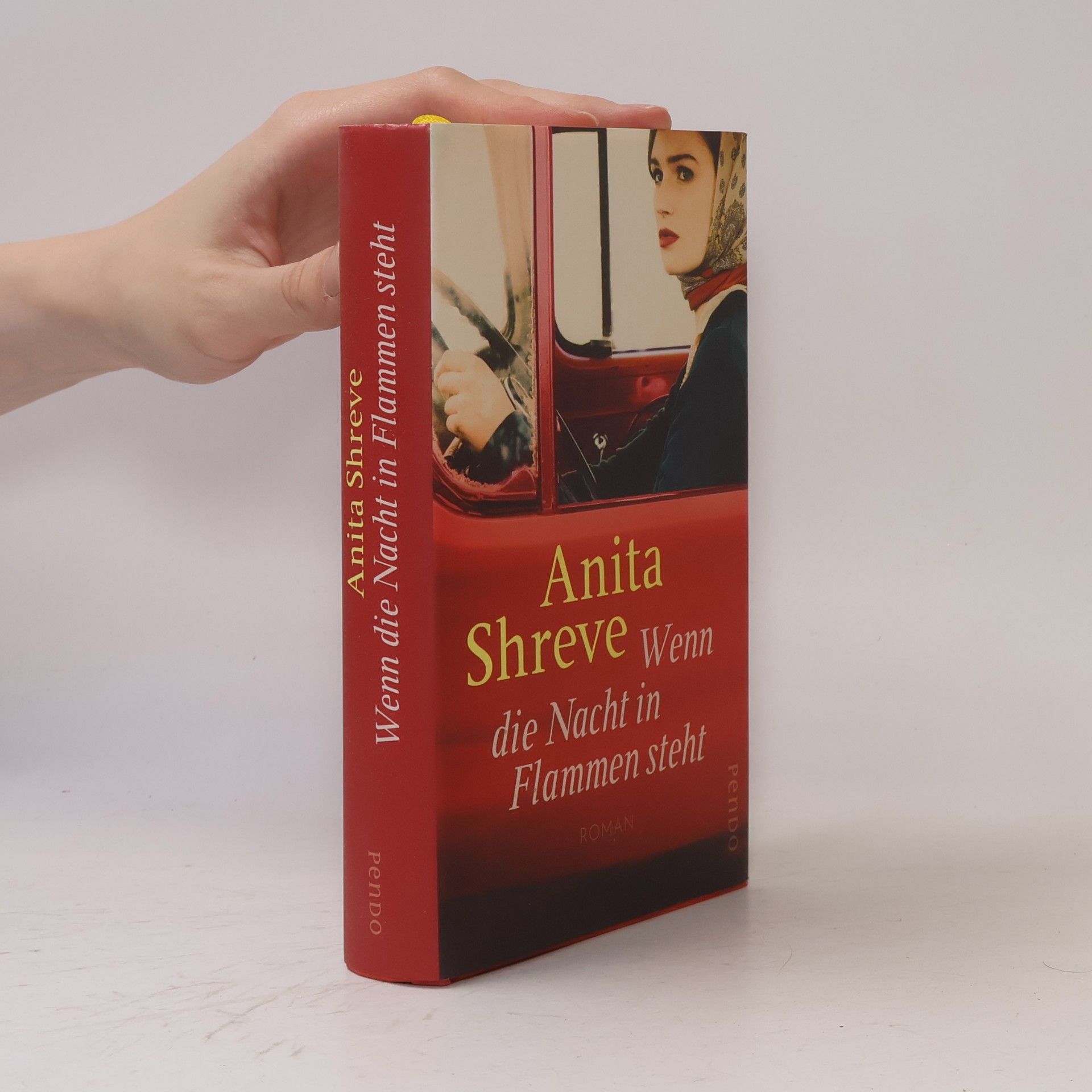 Anita Shreve Wenn die Nacht in Flammen steht
