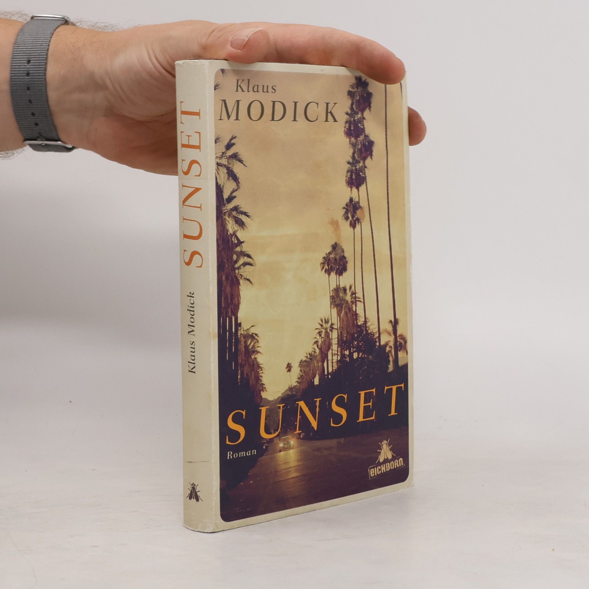 Klaus Modick Sunset