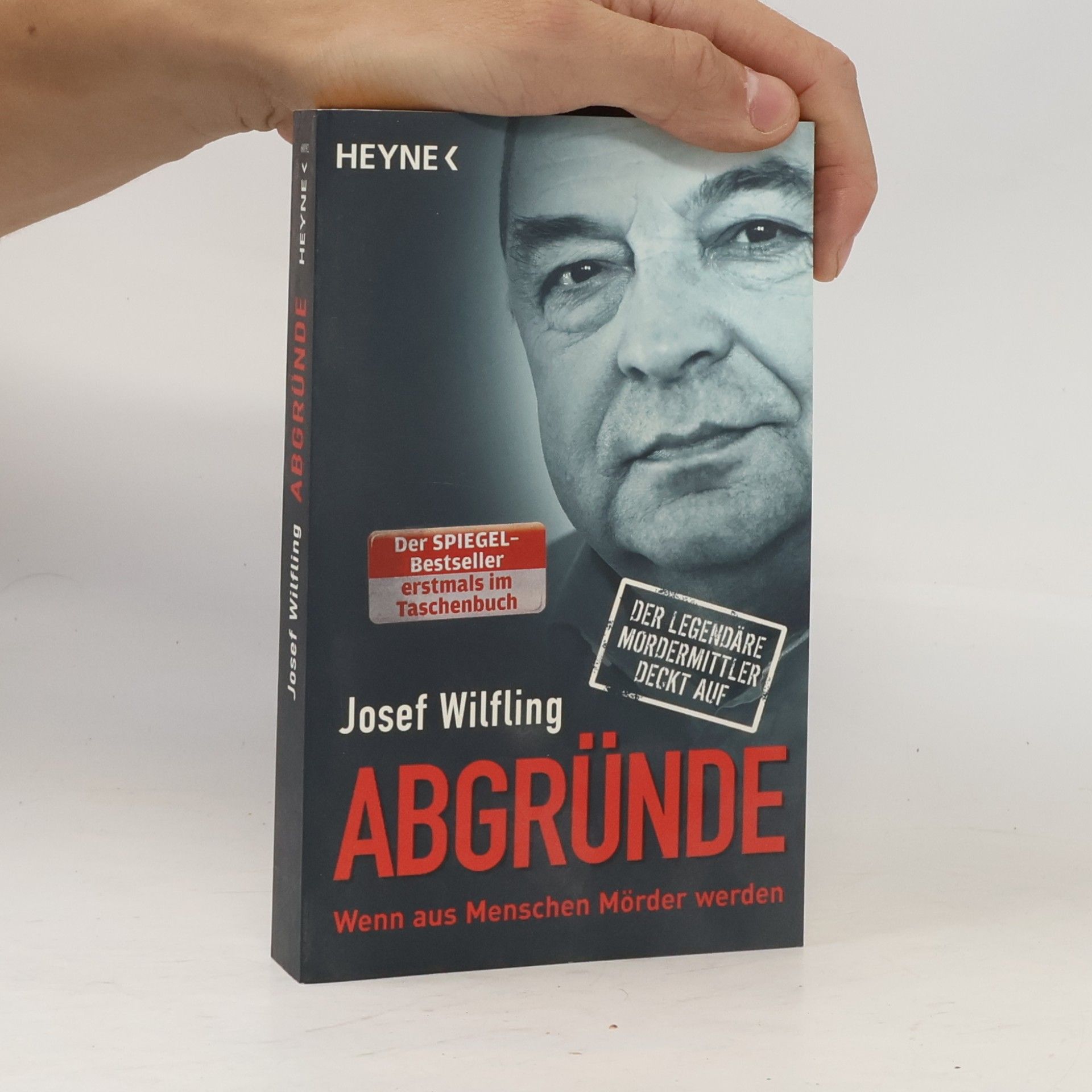 Josef Wilfling Abgründe