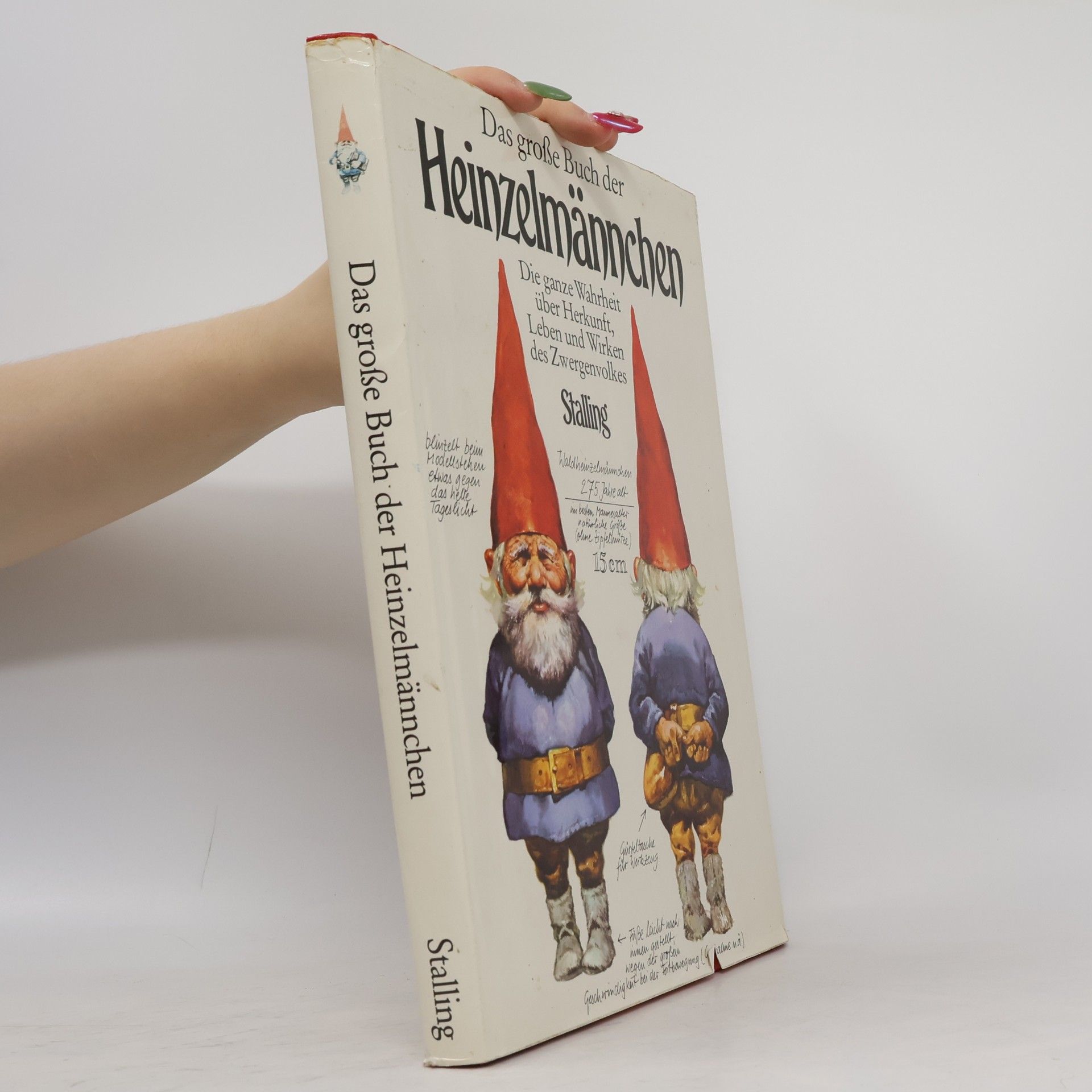 Wil Huygen Das grosse Buch der Heinzelmännchen