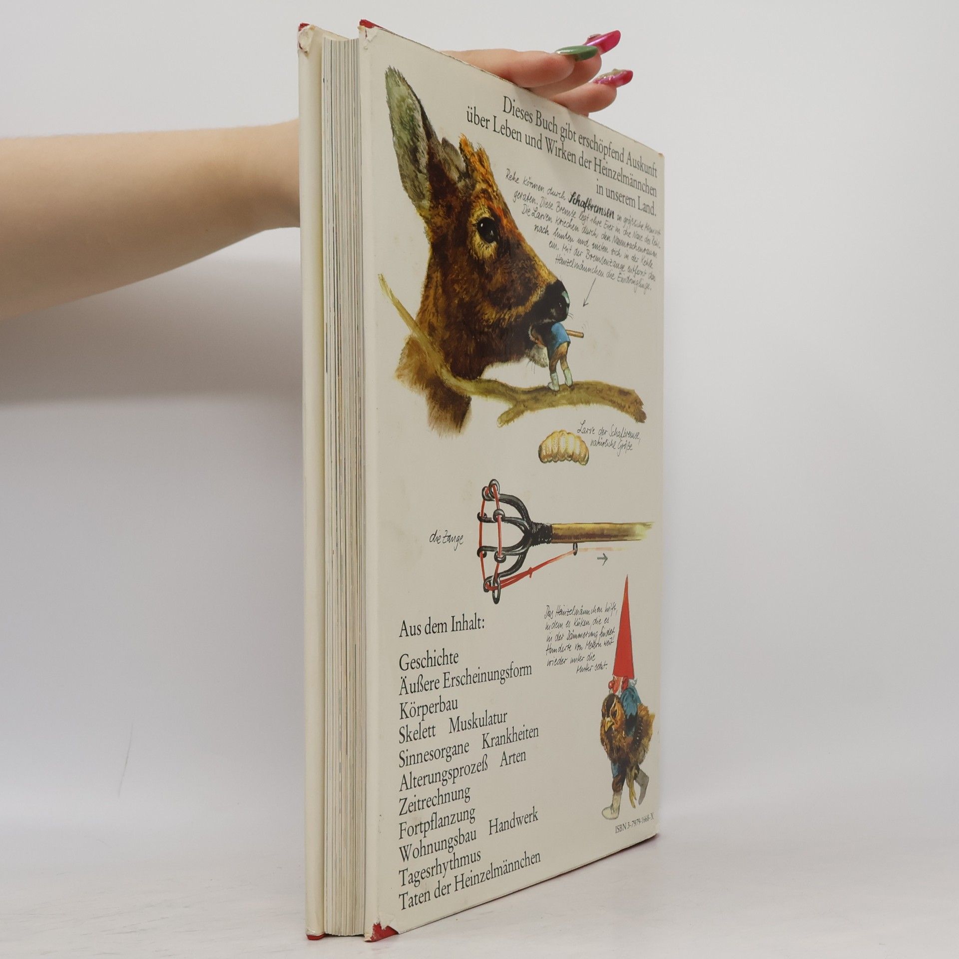 Wil Huygen Das grosse Buch der Heinzelmännchen