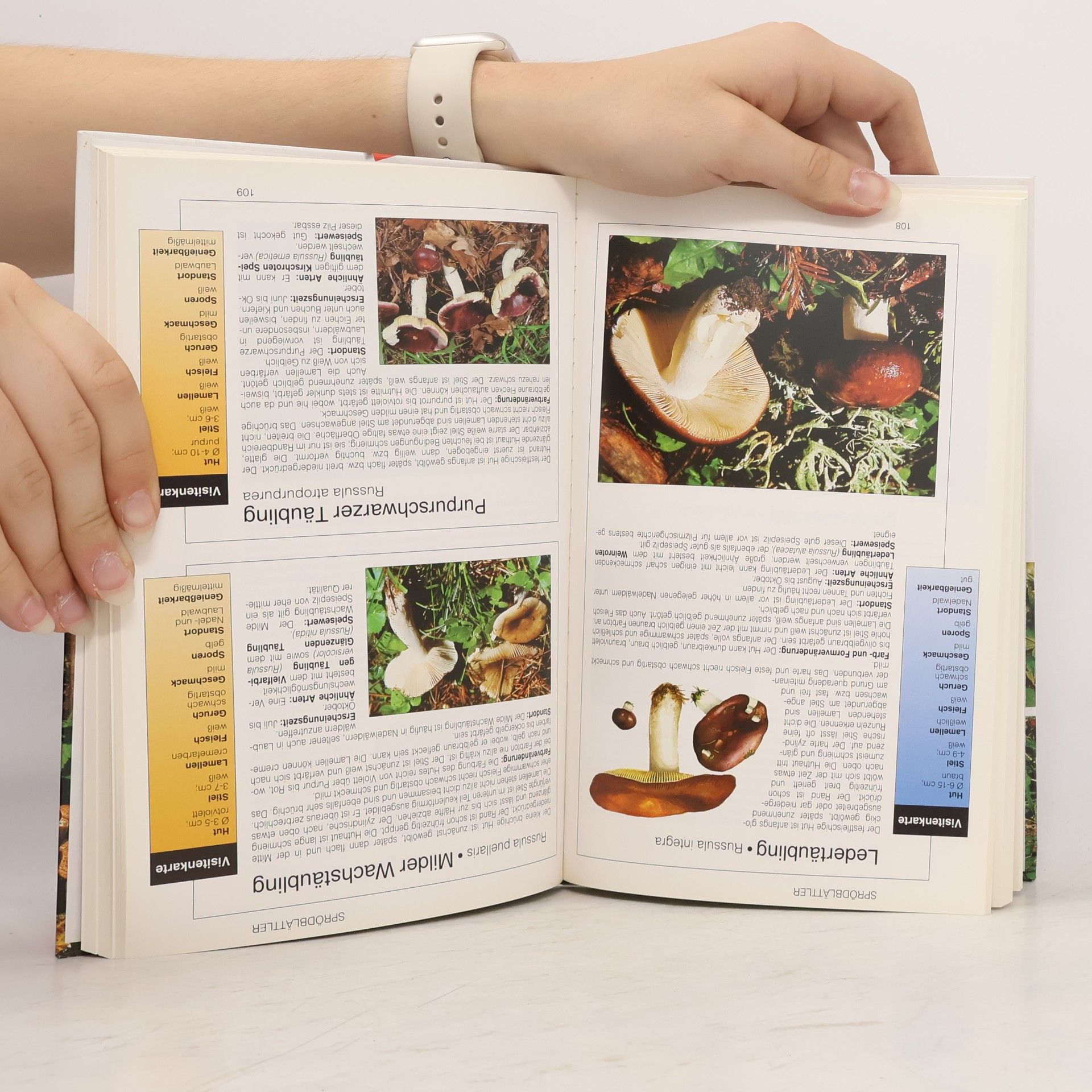 Various authors Pilze. Ein umfassender Ratgeber zum Bestimmen und Sammeln von Pilzen.