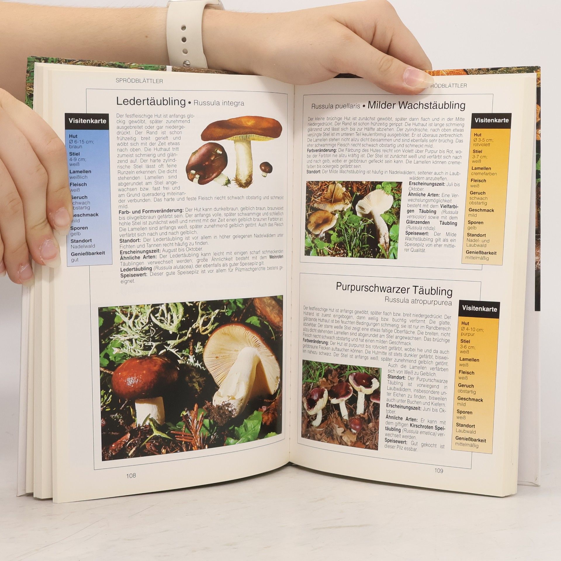 Various authors Pilze. Ein umfassender Ratgeber zum Bestimmen und Sammeln von Pilzen.