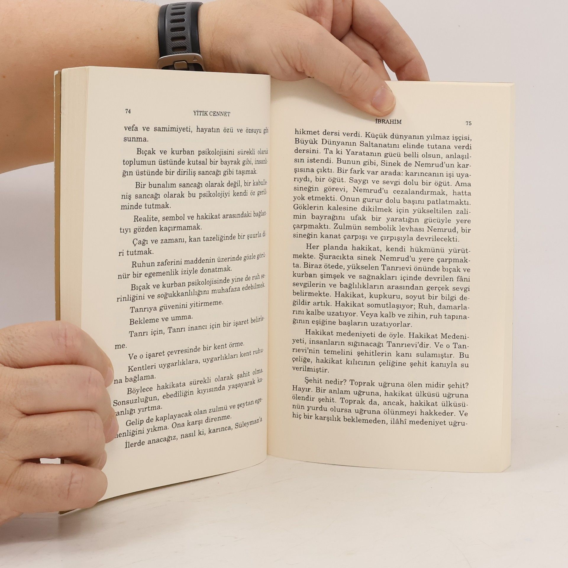 Sezai Karakoç Yitik Cennet - 42. baskı
