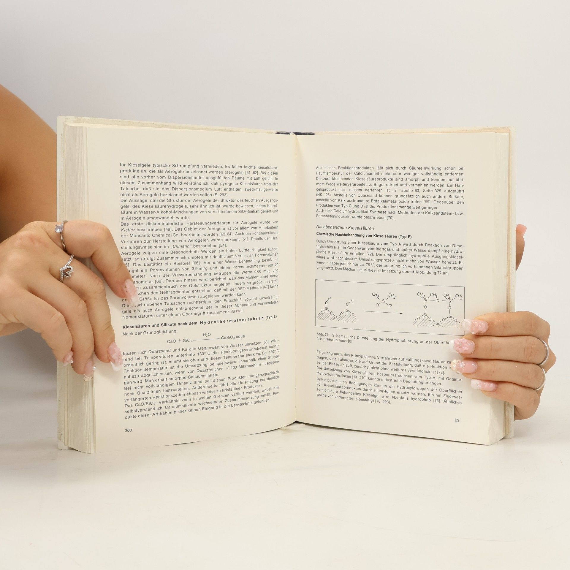 Hans Kittel Lehrbuch der Lacke und Beschichtungen