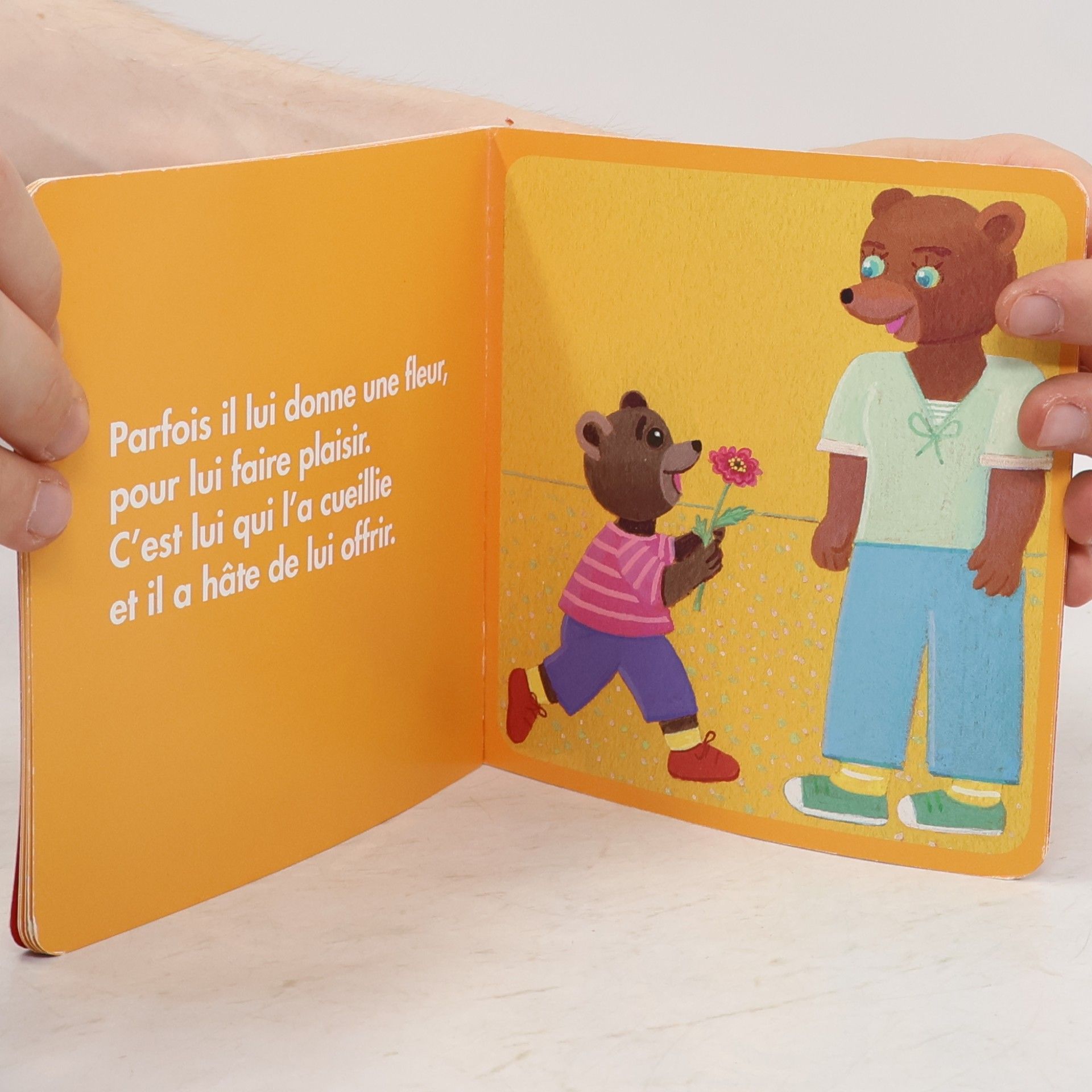 Danie le Bour Petit Ours Brun aime sa maîtresse