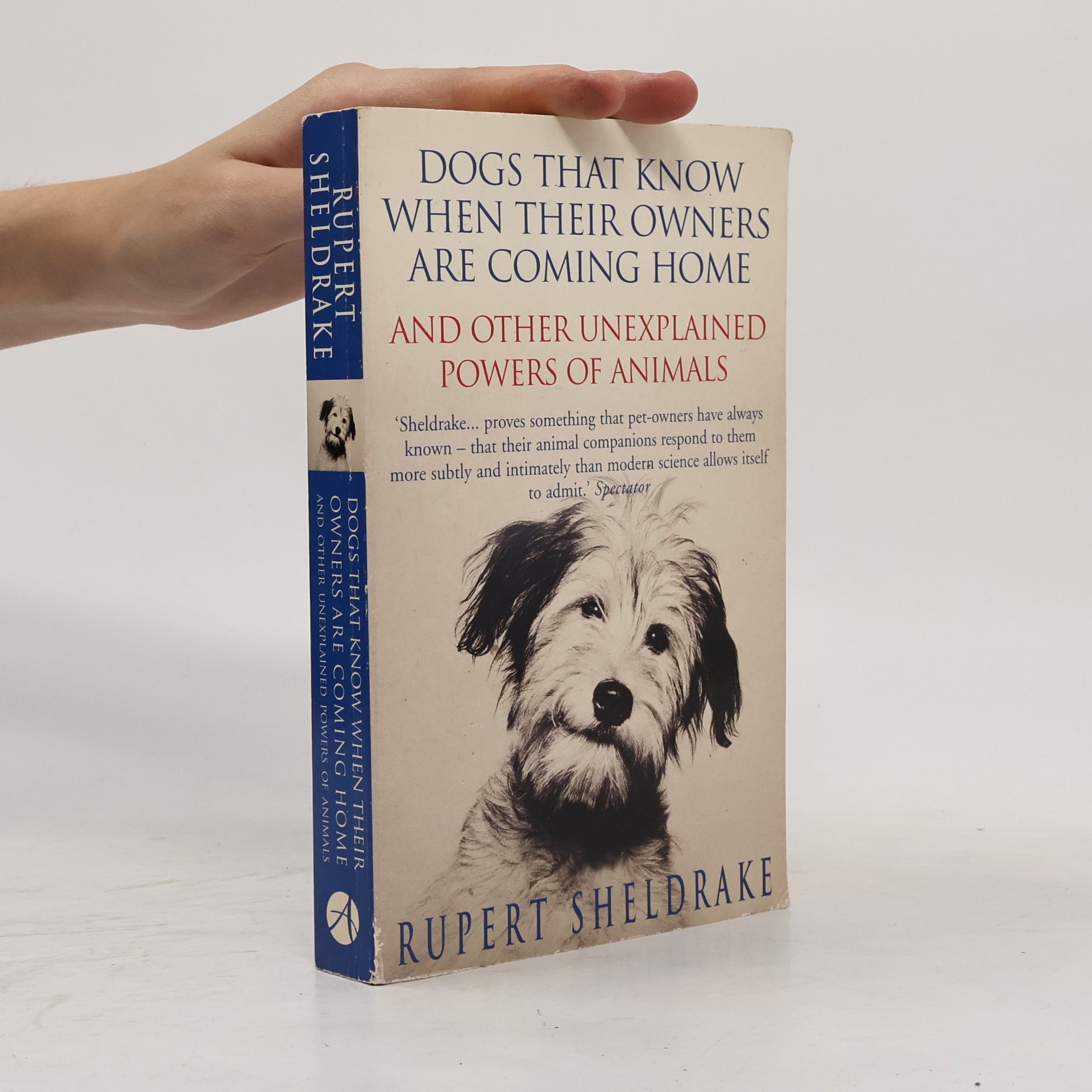 Rupert Sheldrake Dogs That Know When Their Owners Are Coming Home