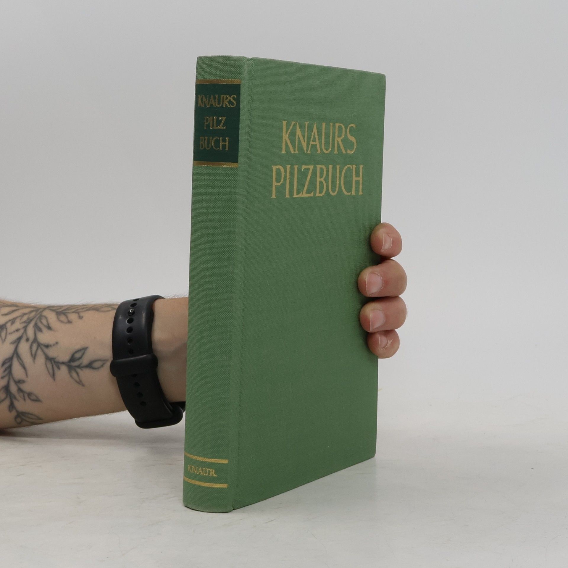 Kolektiv autorů Knaurs Pilzbuch