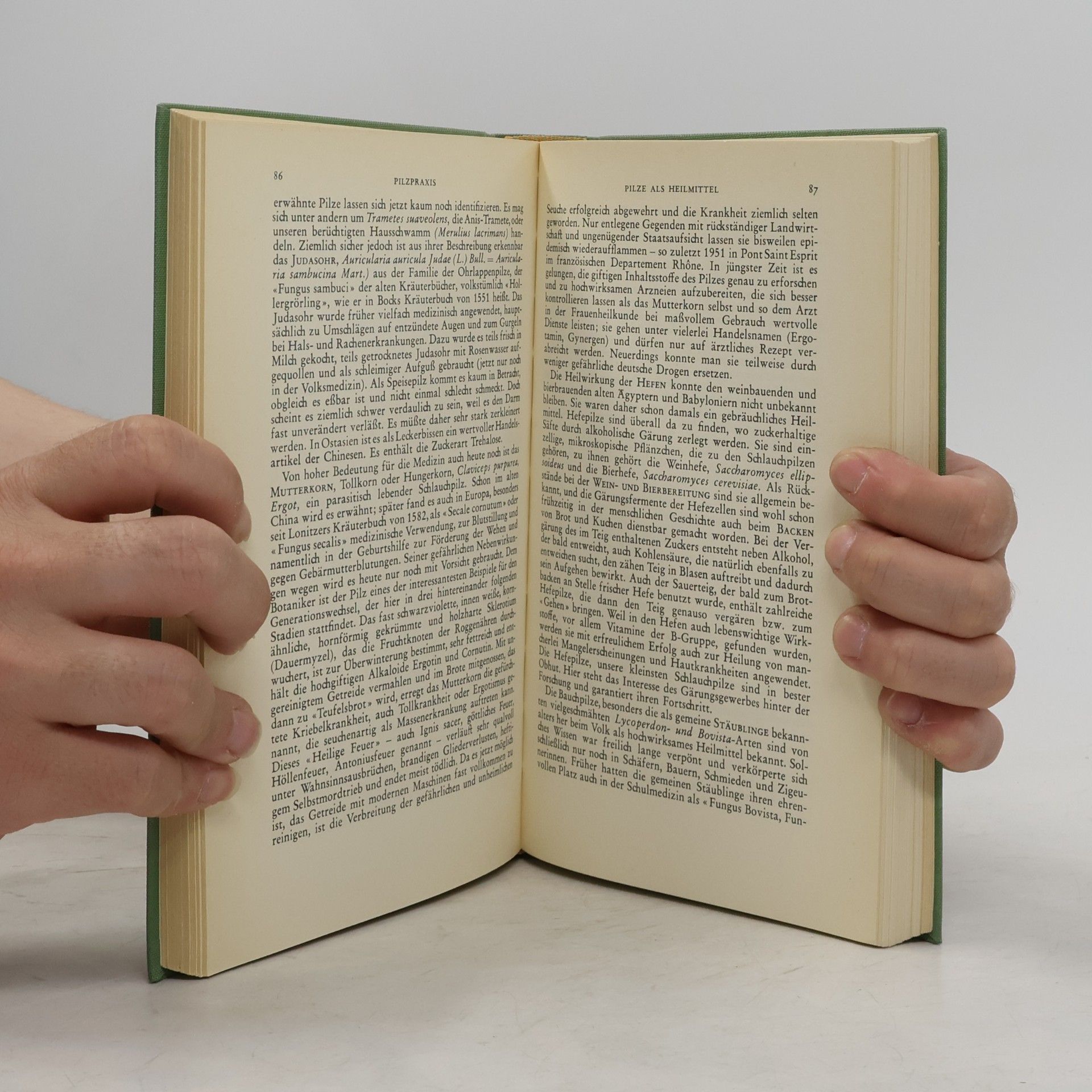 Kolektiv autorů Knaurs Pilzbuch