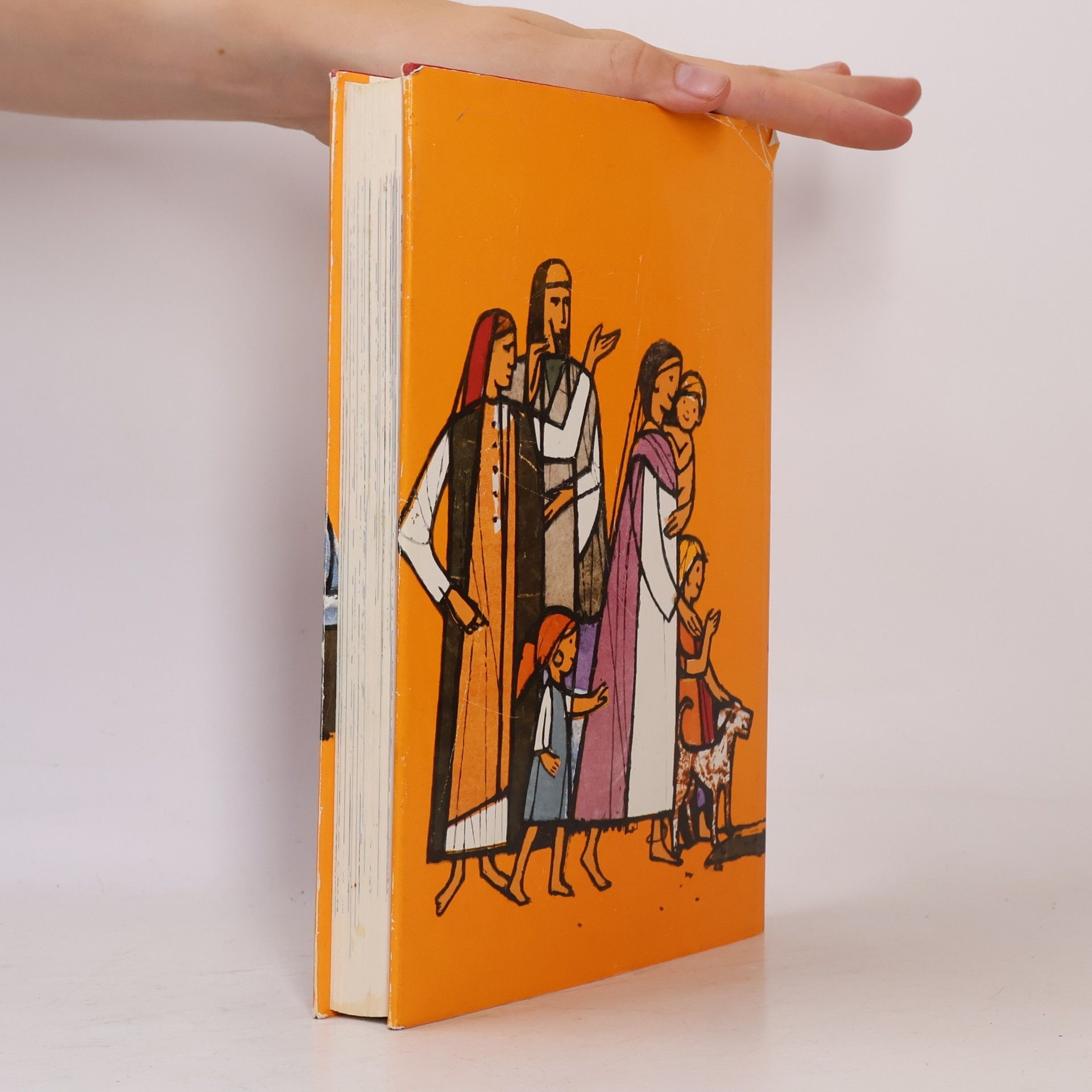 Anne de Vries Die Bibel unserer Kinder