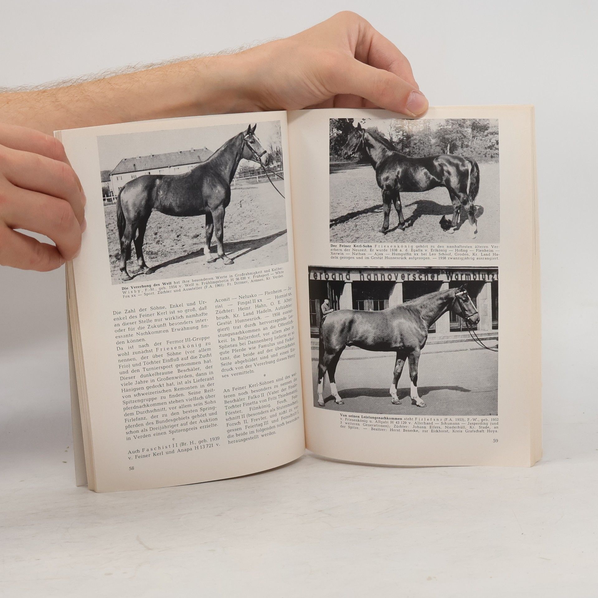 Hans Joachim Köhler Hannovers Edles Warmblut 1949-1961