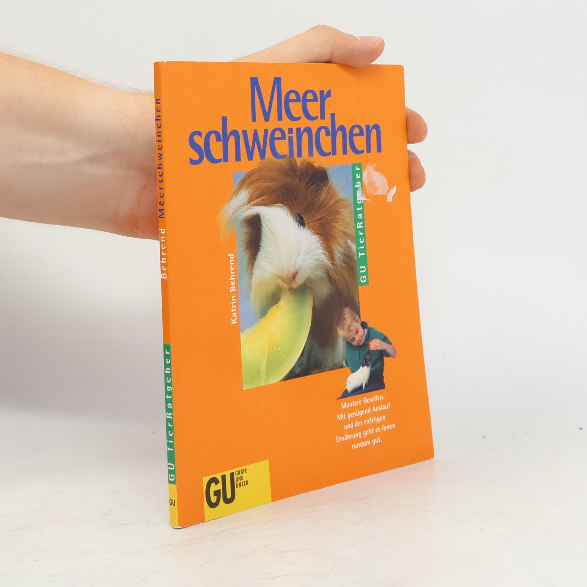Katrin Behrend Meerschweinchen