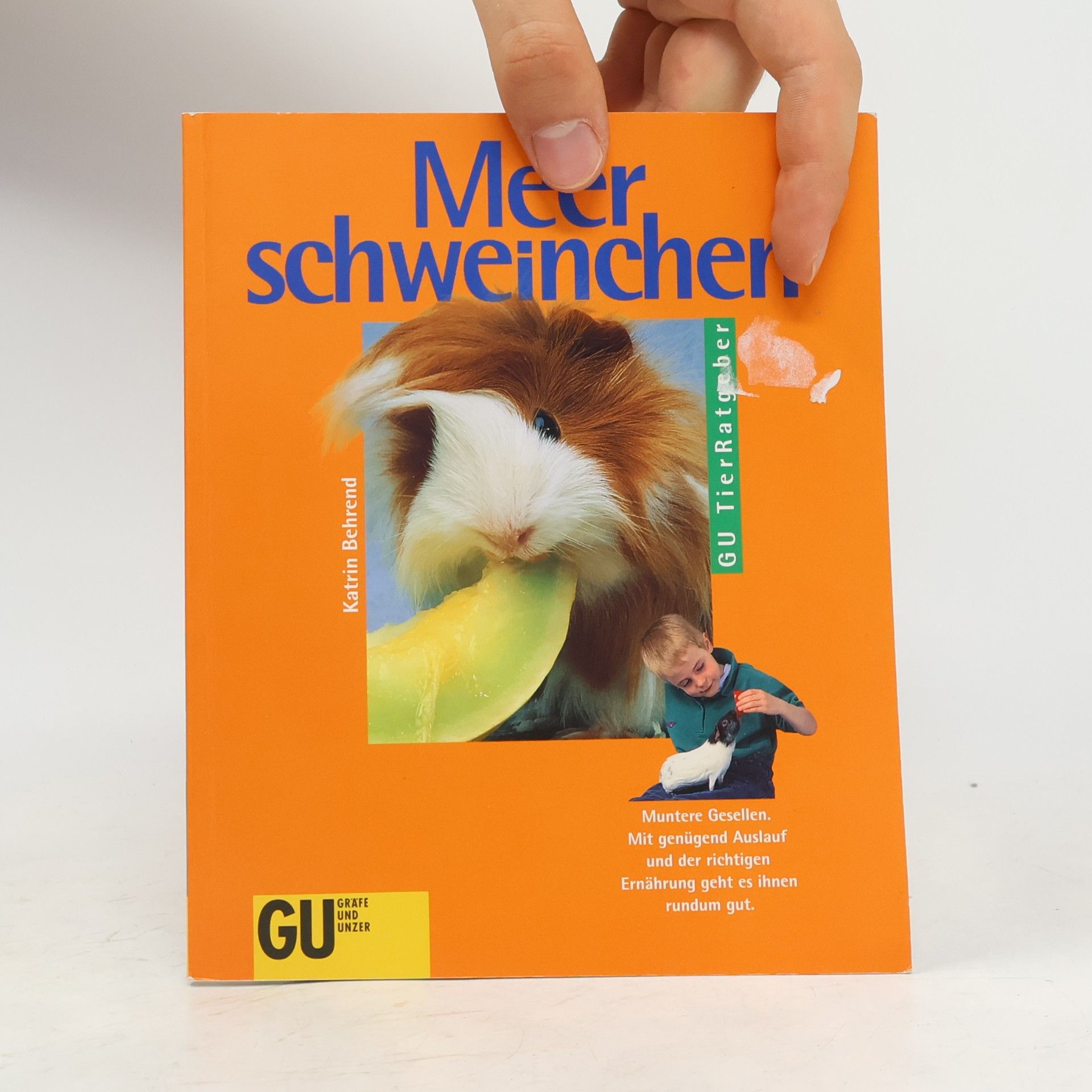 Katrin Behrend Meerschweinchen